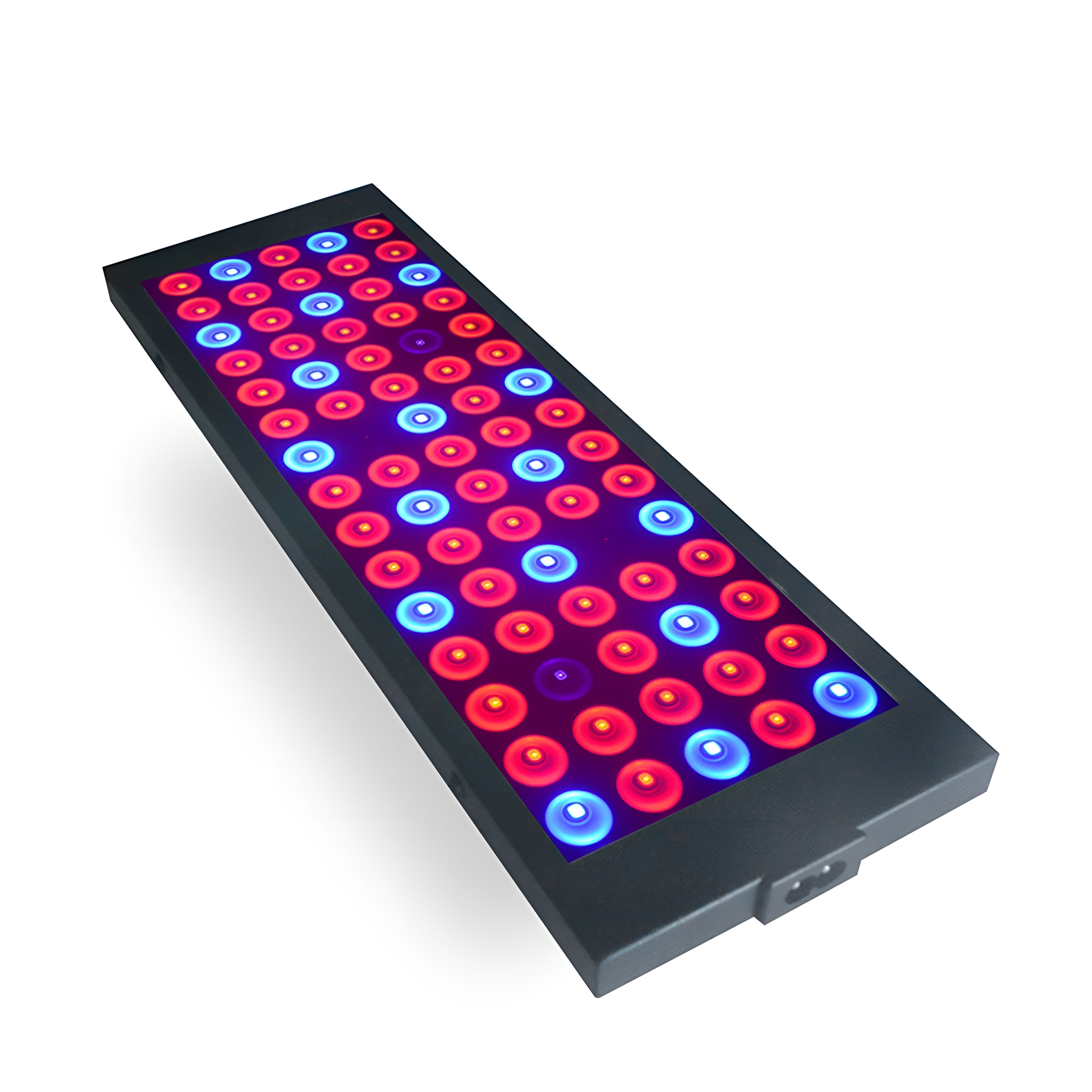 Ein rechteckiges LED-Pflanzenlicht-Panel mit roten und blauen Lichtern, in einem schwarzen Rahmen, auf weißem Hintergrund.