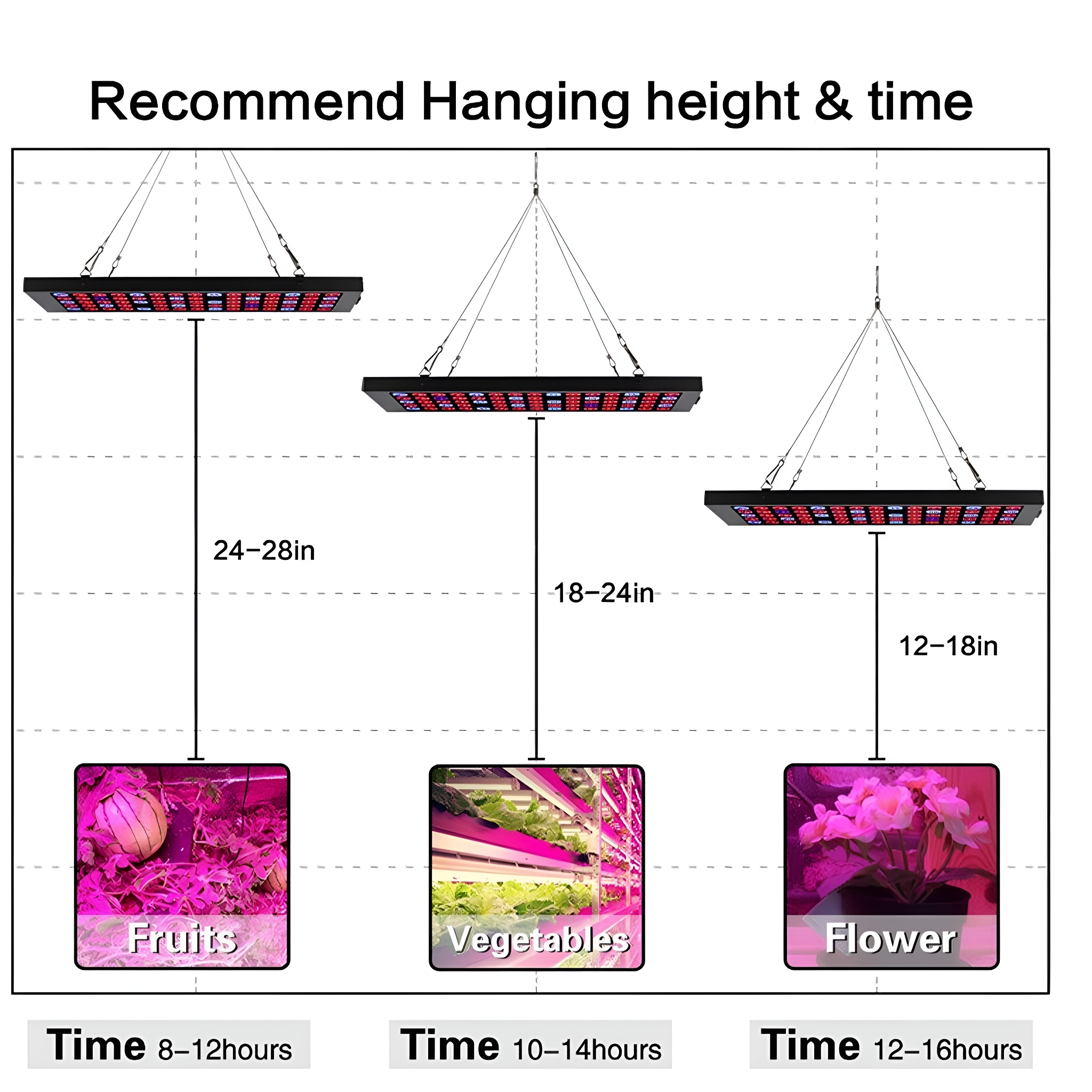 Diagramm, das die Hängehöhe und Zeit für Pflanzenlichter zeigt.