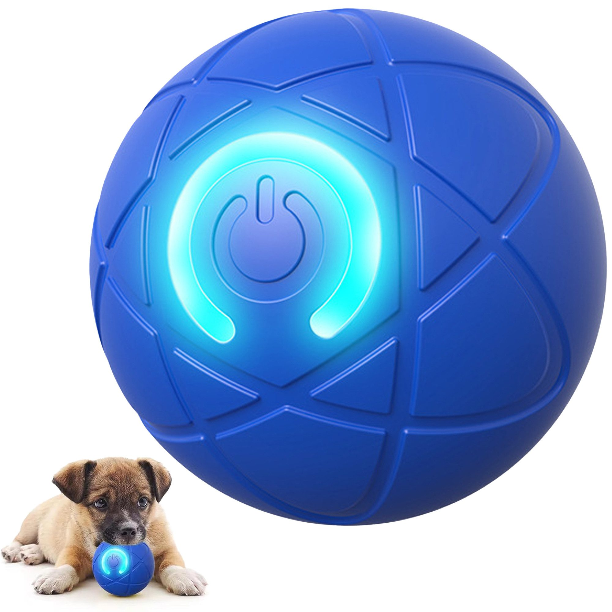 Ein blauer Ball mit einem Power-Knopf und ein Welpe, der damit spielt. Der Ball leuchtet.