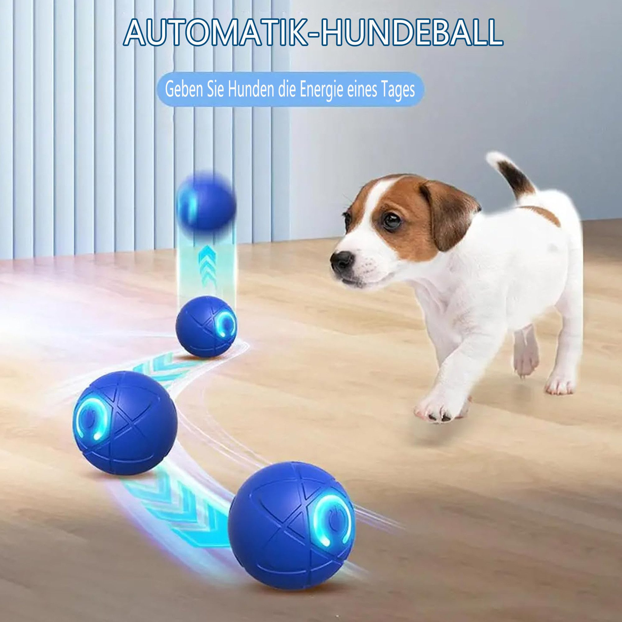 Hund spielt mit Bällen. Blaue Bälle liegen auf dem Boden. Text: Gib den Hunden die Energie eines Tages.
