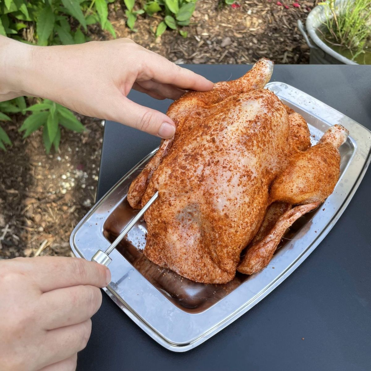 Hand, die ein Fleischthermometer in ein gewürztes ganzes Huhn auf einem Tablett hält, im Freien.