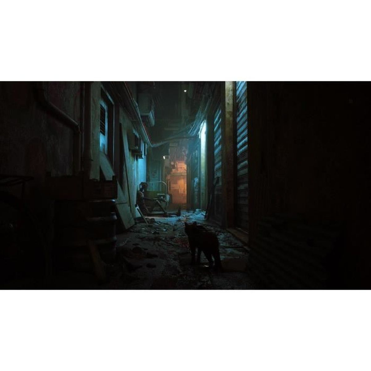 Vicolo buio con un gatto in primo piano. Una figura è seduta alla fine del vicolo.