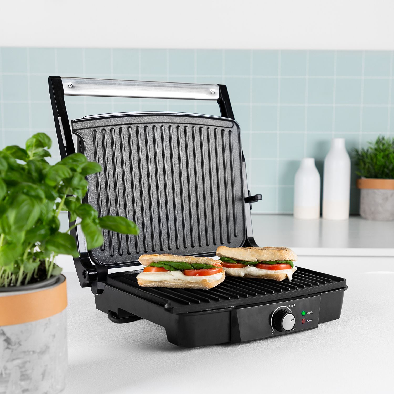 Schwarze Panini-Presse mit zwei Sandwiches. Links eine grüne Pflanze im Topf.
