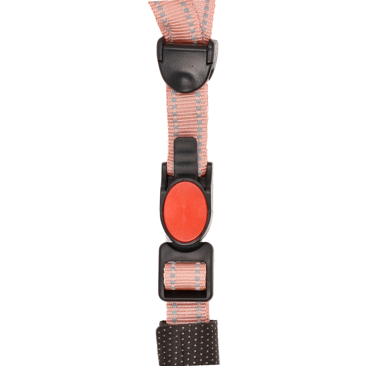 Pink-grauer Hunde-Sicherheitsgurt, schwarze Schnalle, roter Knopf, Nahaufnahme.
