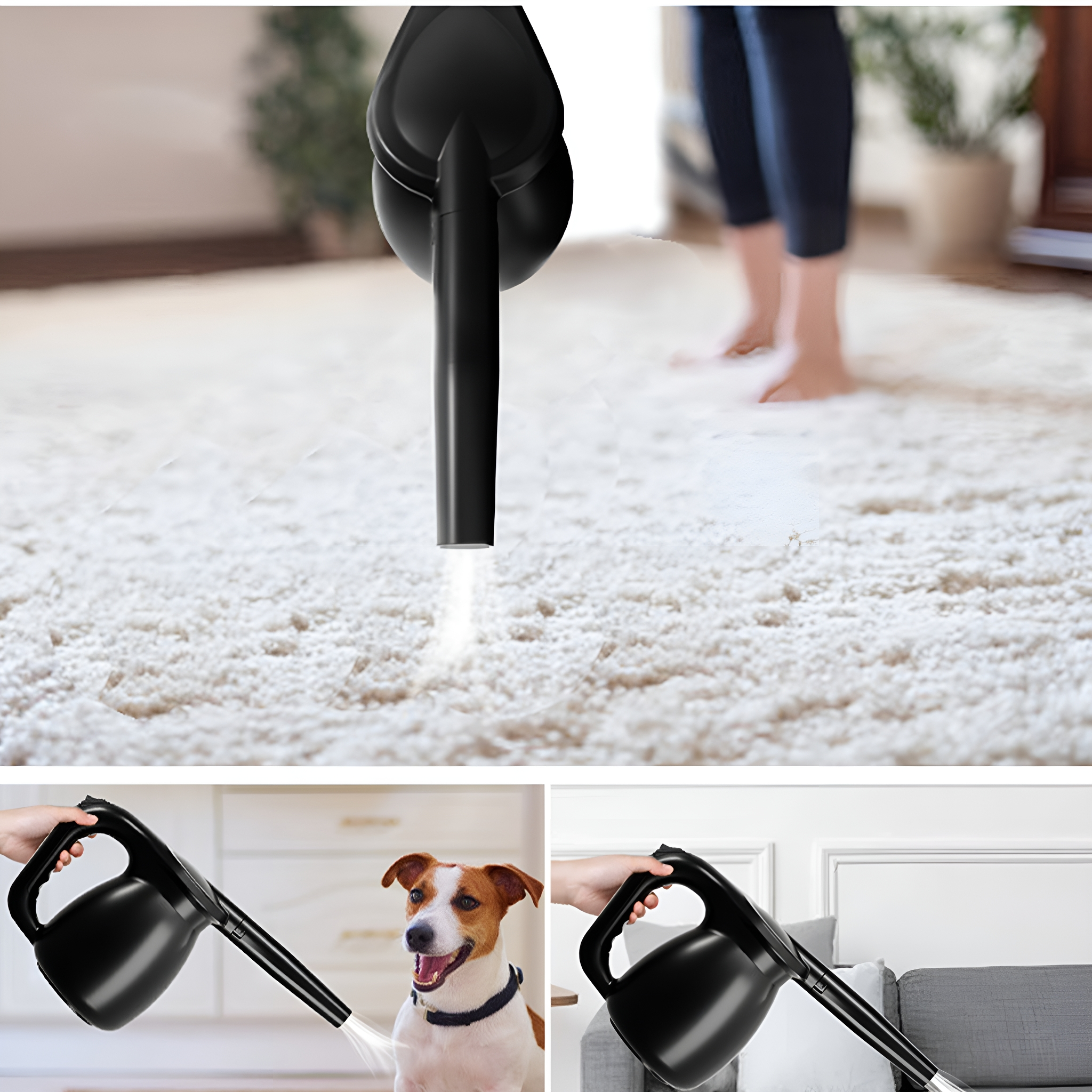 Staubsauger, der einen Teppich reinigt. Das Bild zeigt auch einen Hund und eine Couch.