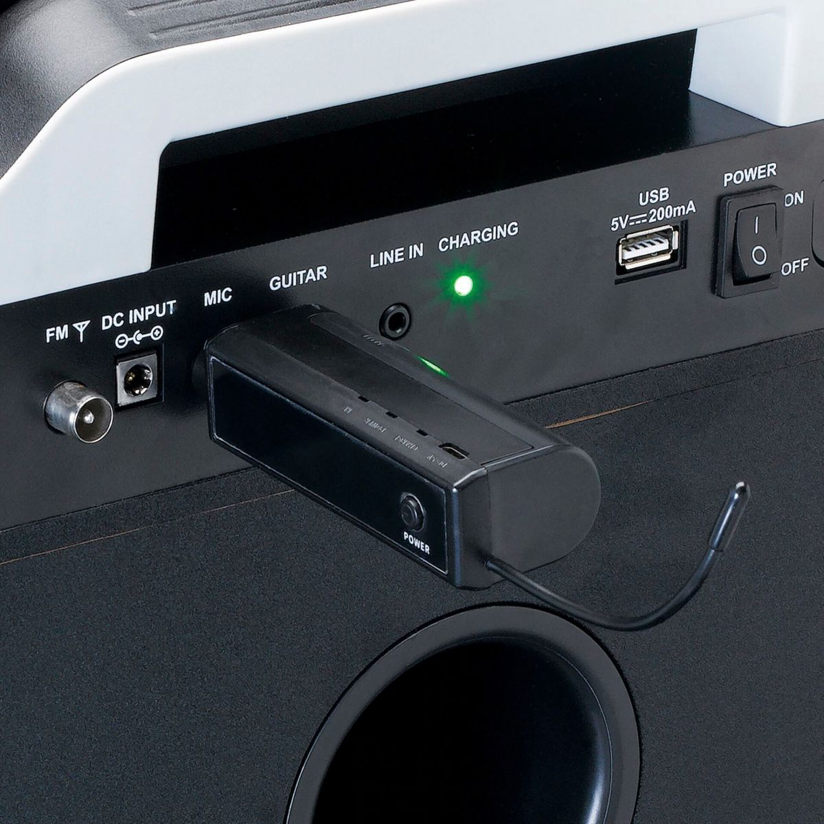 Zbliżenie na tył czarnego głośnika z różnymi portami wejściowymi i wyjściowymi.