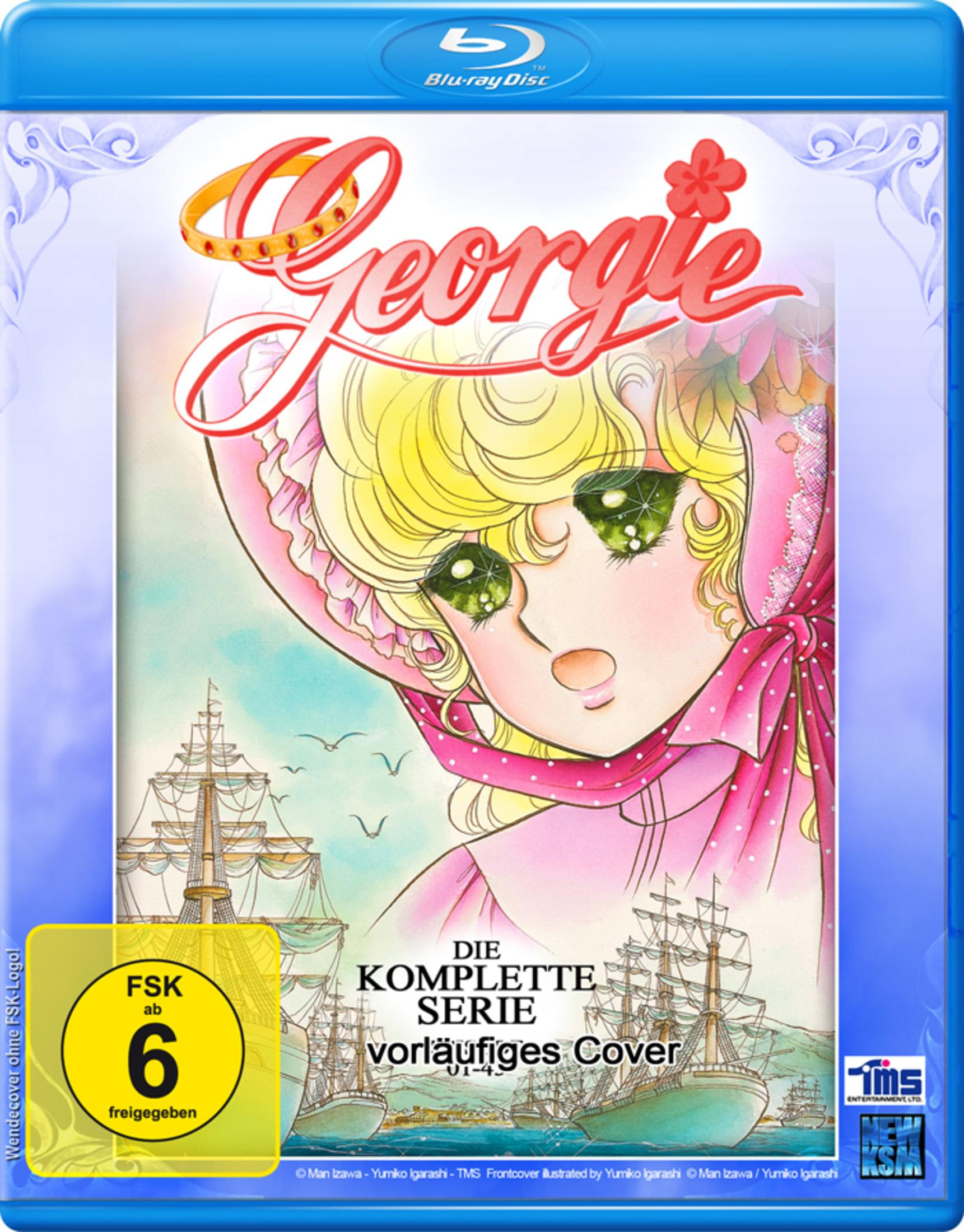 Couverture d'anime avec une fille, des navires et le logo FSK.