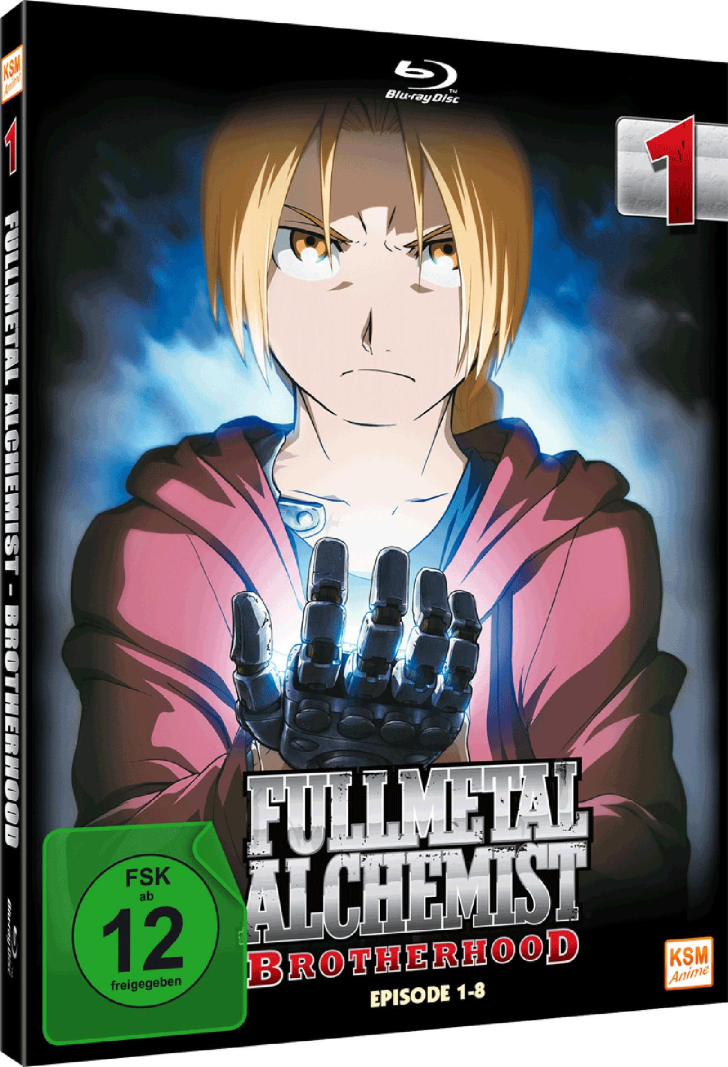 Couverture du DVD d'anime Fullmetal Alchemist. Un personnage blond avec un bras métallique. Le titre est en gros texte métallique.