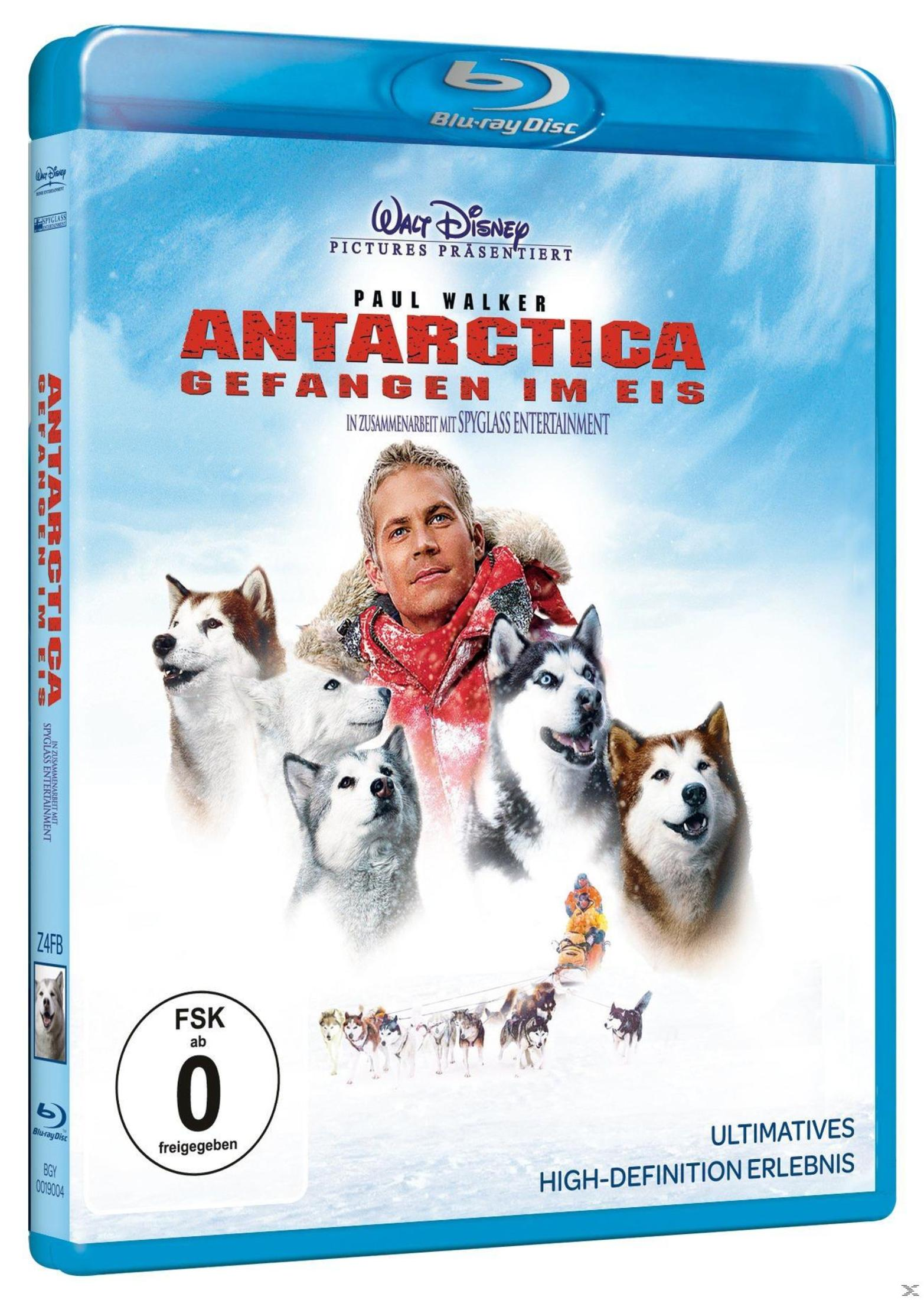Filmcover, ein Mann mit Hunden. Titel oben. Blauer Hintergrund. Blu-ray Disc.