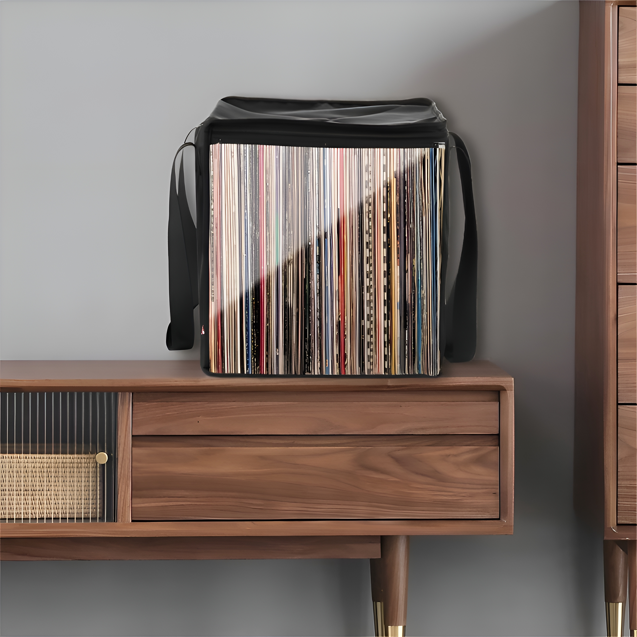 Schwarze Schallplatten-Aufbewahrungstasche mit Schallplatten auf Holzschrank.