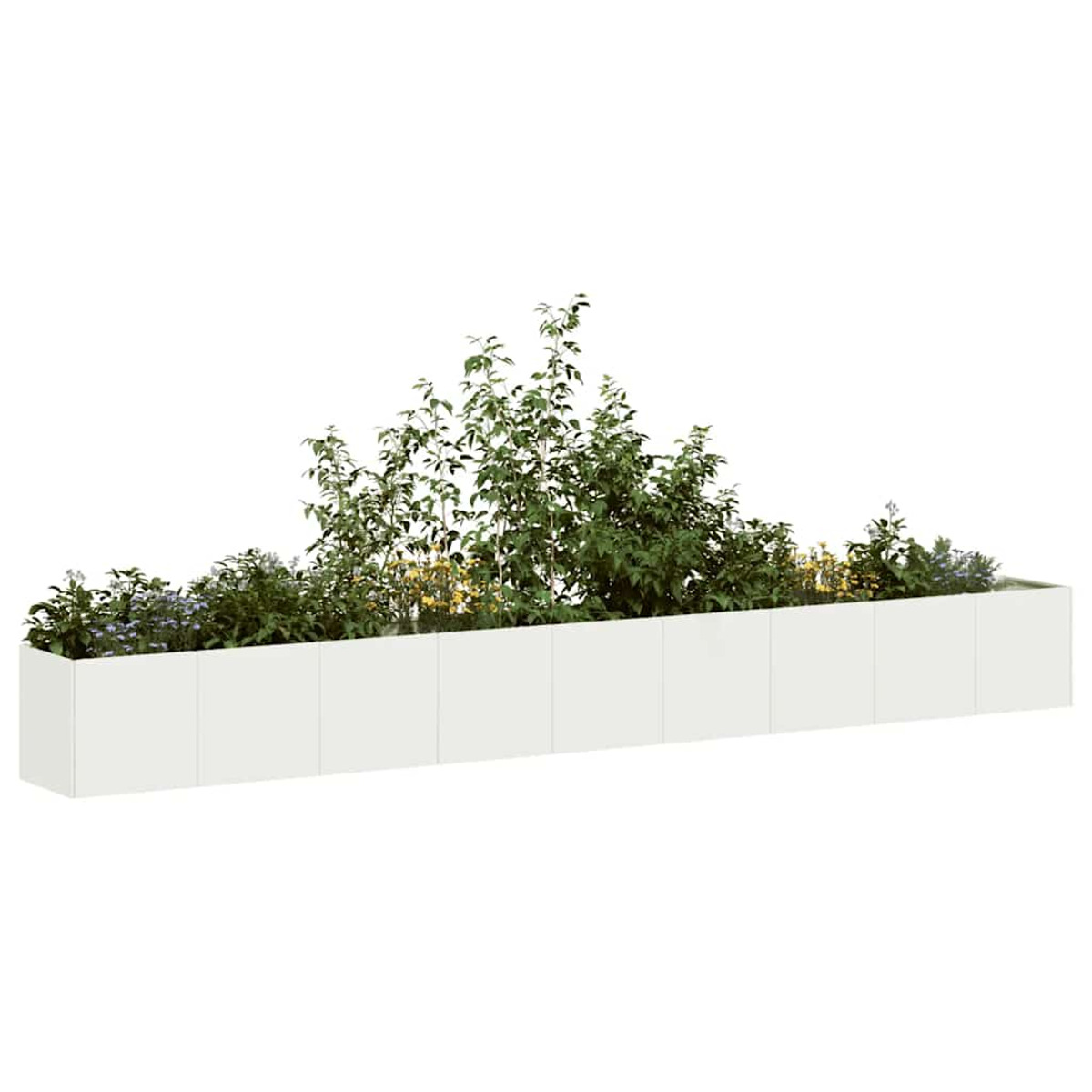 Fioriera rettangolare bianca con piante verdi. Sfondo bianco.