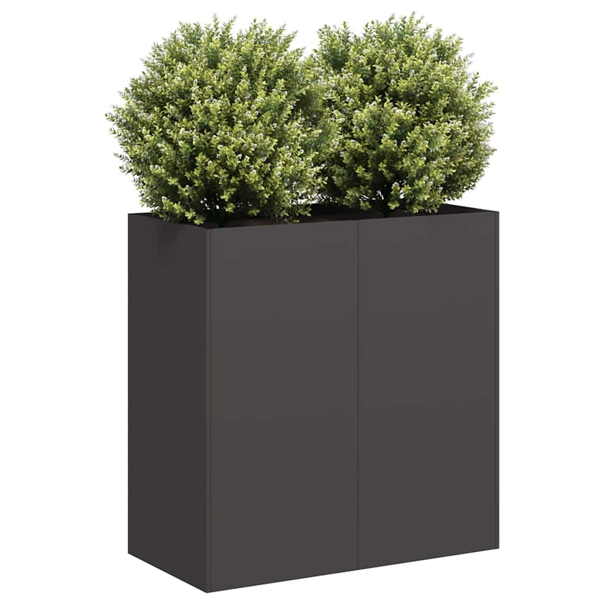 Fioriera nera con due arbusti verdi sopra. La fioriera è rettangolare e dal design elegante.
