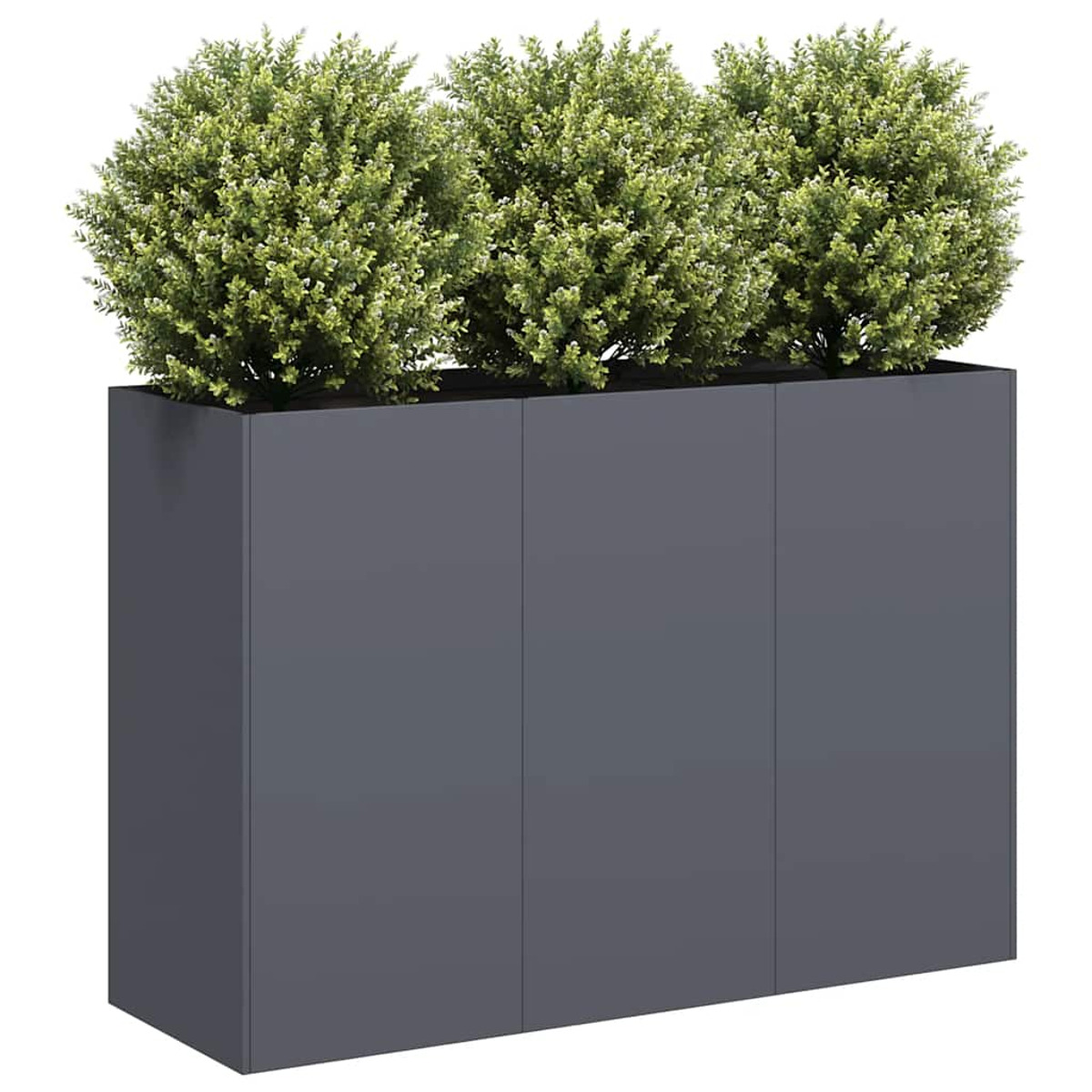 Fioriera grigio scuro con tre cespugli verdi e frondosi.