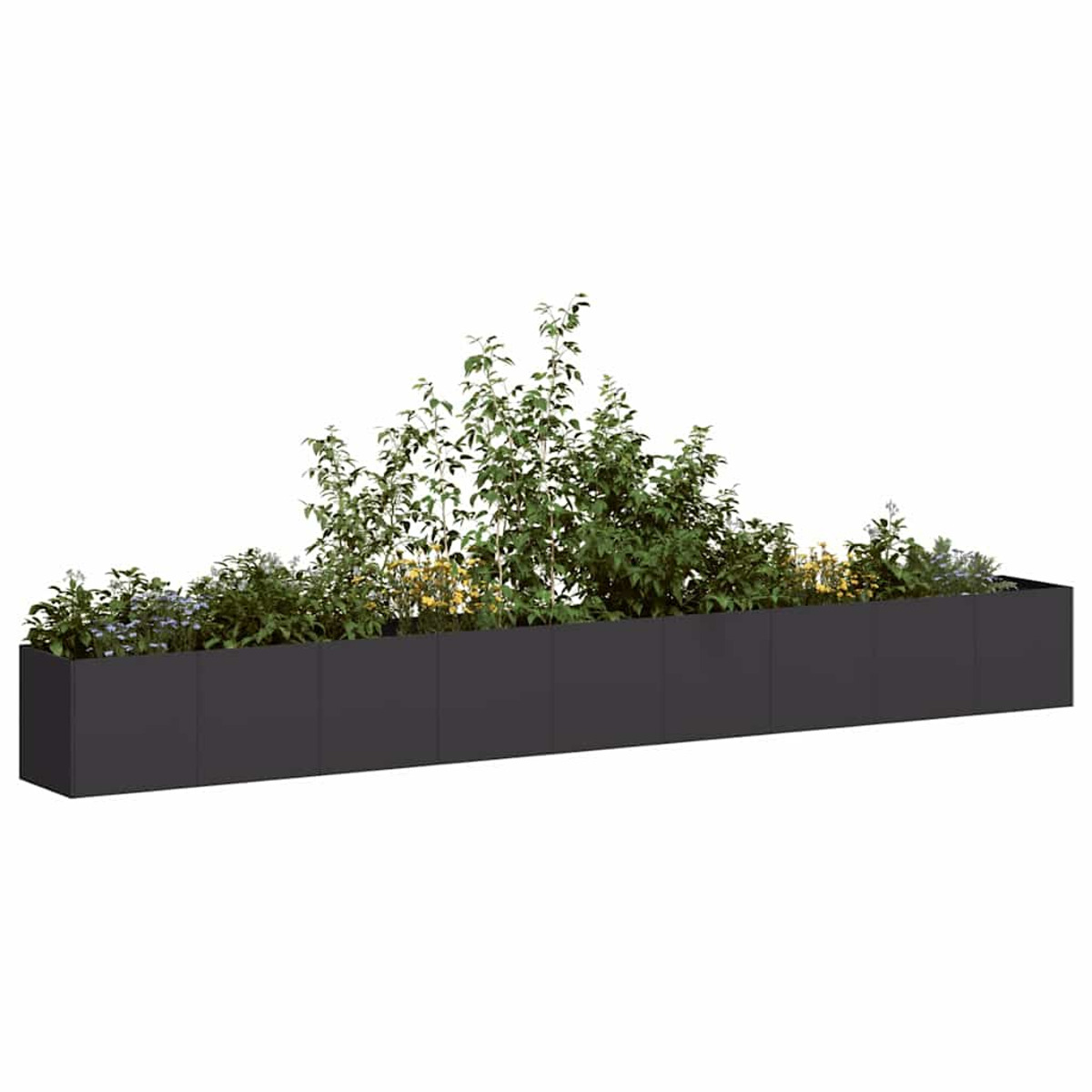 Un lungo fioriera nera riempito con varie piante verdi e alcuni fiori gialli.