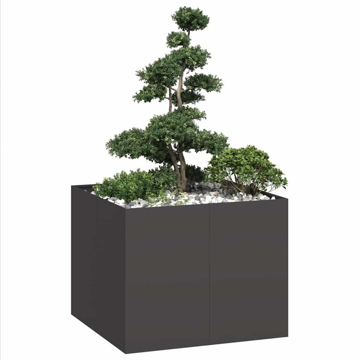 Fioriera quadrata grigio scuro con un bonsai e altre piante, su sfondo bianco.