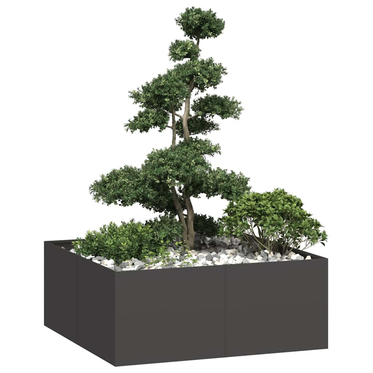 Una fioriera quadrata e scura contiene un bonsai e piccoli cespugli, con pietre bianche alla base.