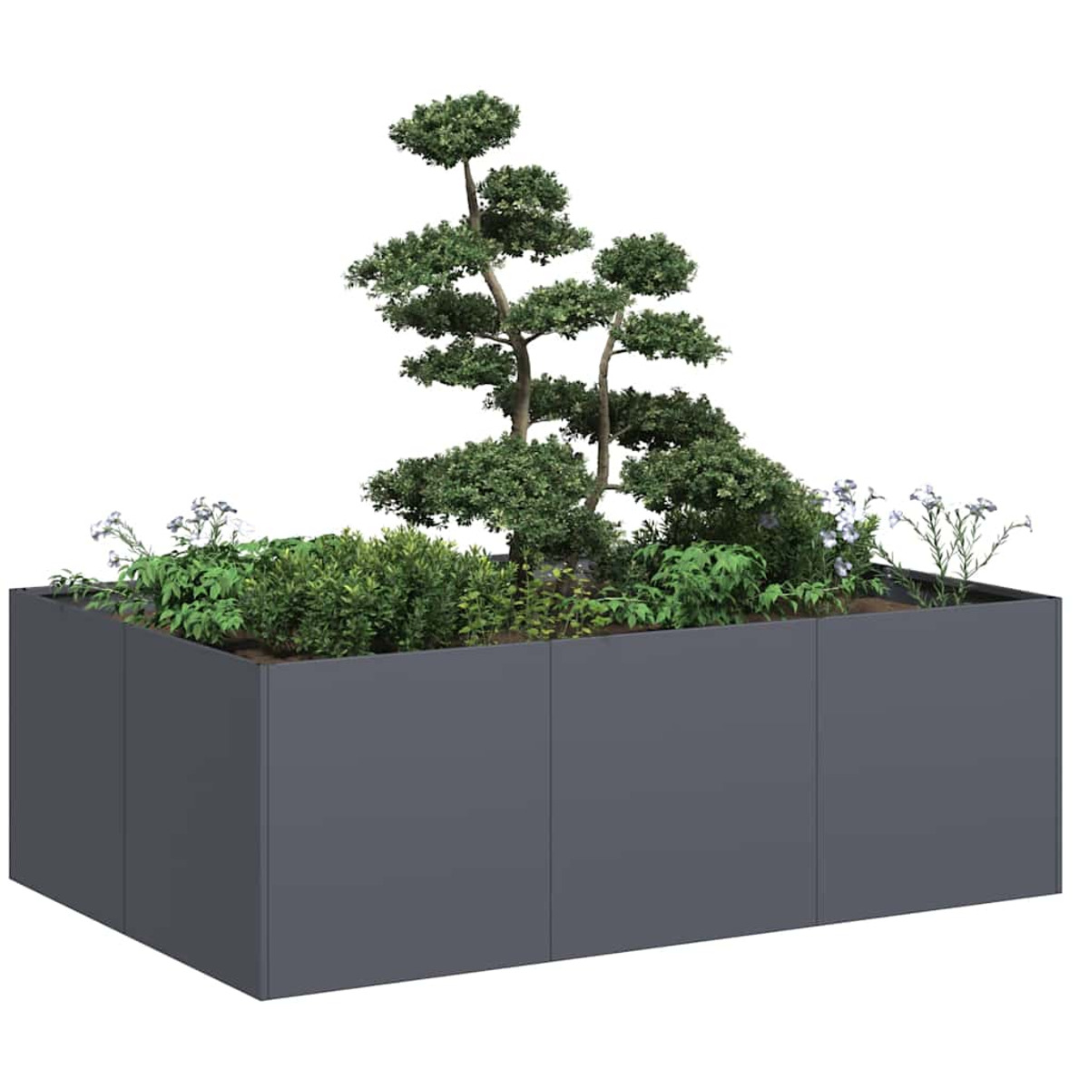 Fioriera rettangolare grigio scuro con alberi e piante. Pieno di verde, ben curato.