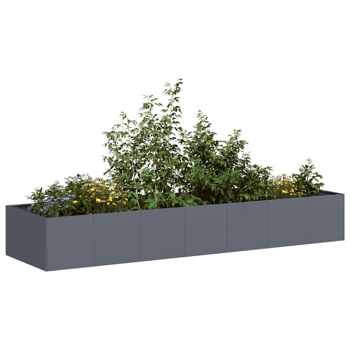 Aiuola rettangolare grigia piena di piante verdi e fiori gialli. Sfondo bianco.