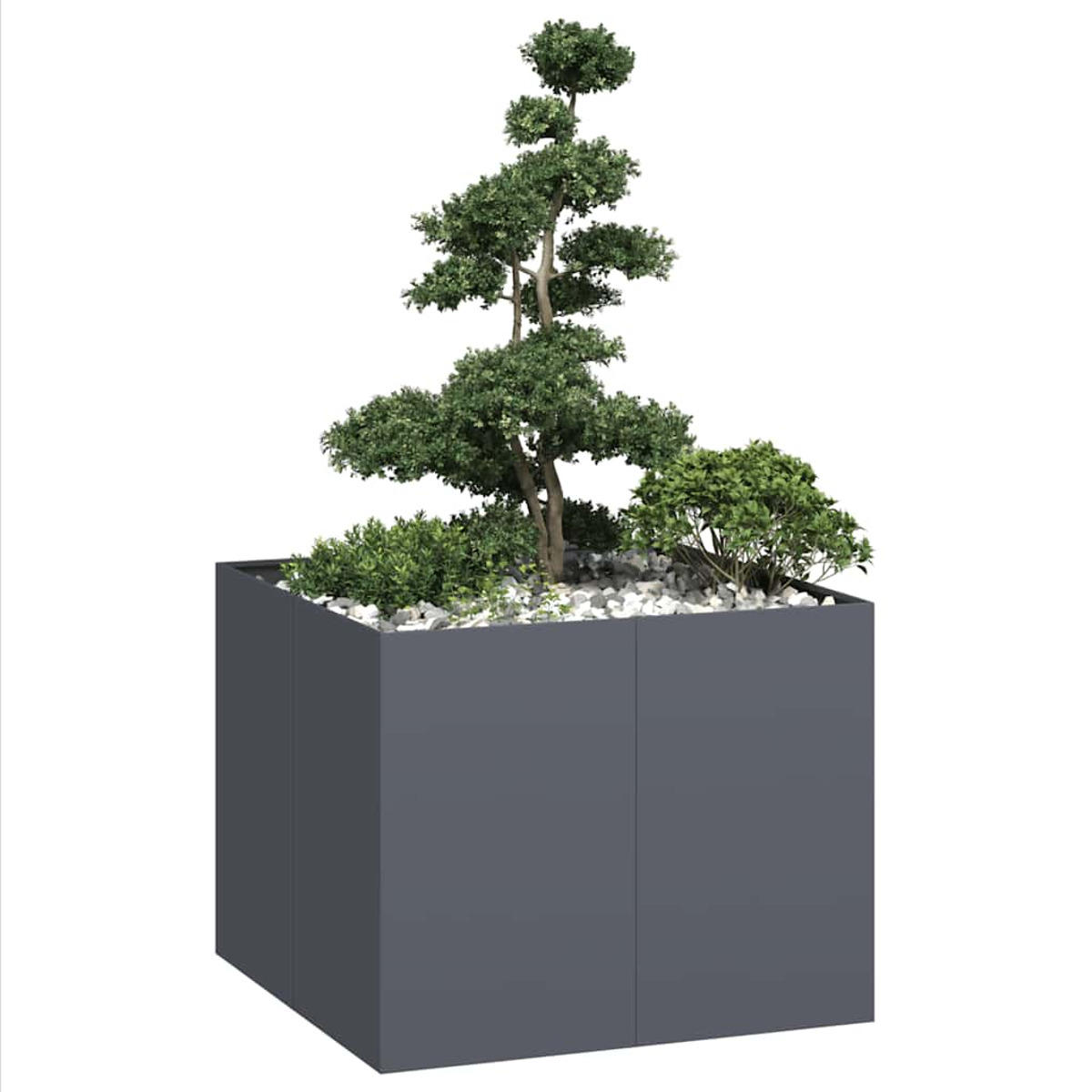 Una fioriera grigia quadrata con un albero e arbusti all'interno su sfondo bianco.