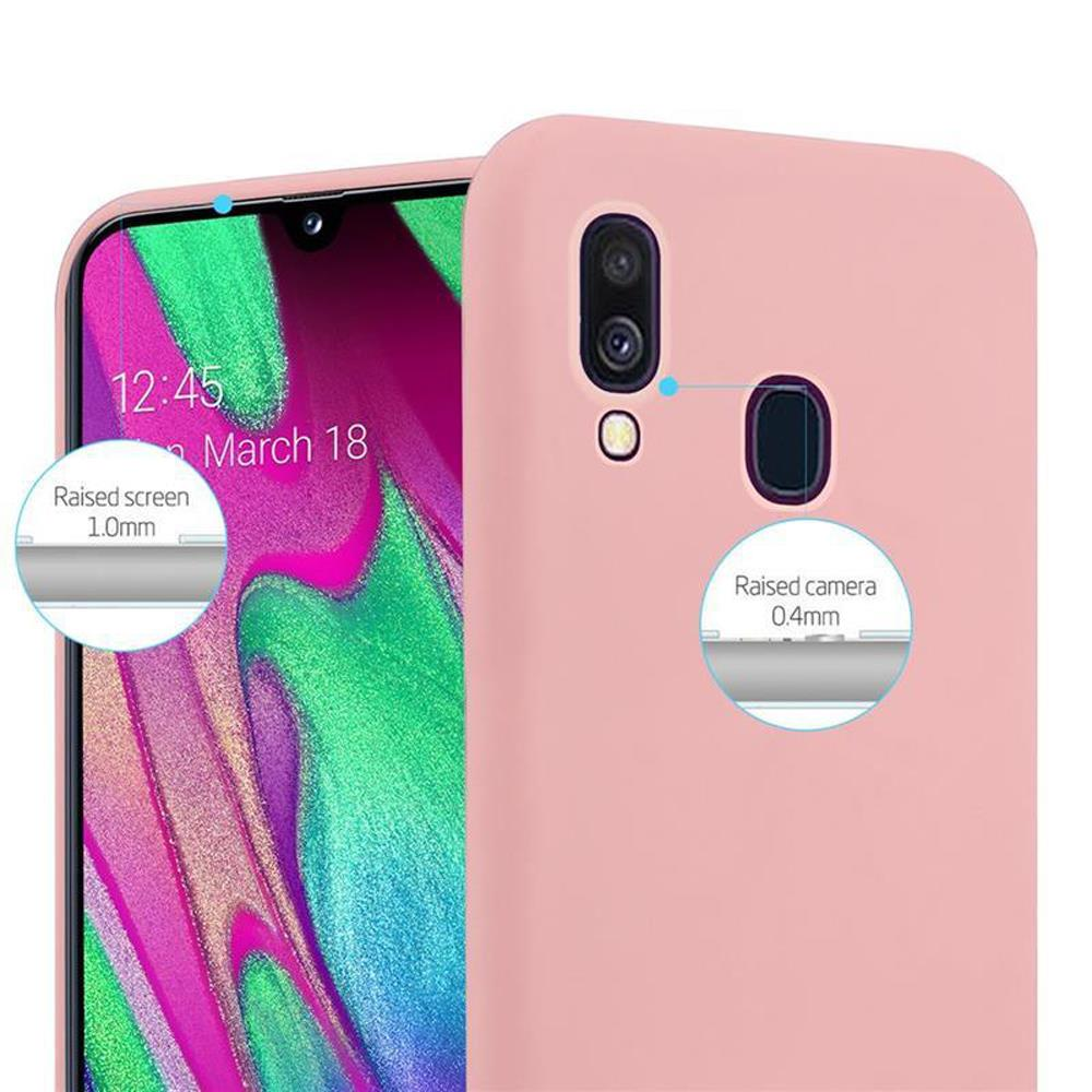 Custodia rosa per telefono con annotazioni che indicano le aree rialzate dello schermo e della fotocamera.