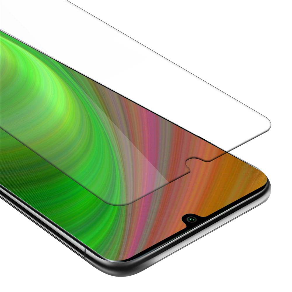 Schermo del telefono con protezione. La protezione è trasparente sullo schermo colorato.