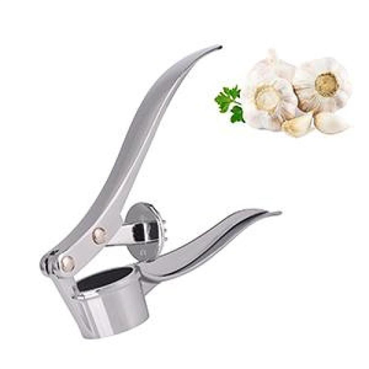 Eine silberne Knoblauchpresse neben frischen Knoblauchzehen und -zehen auf weißem Hintergrund.