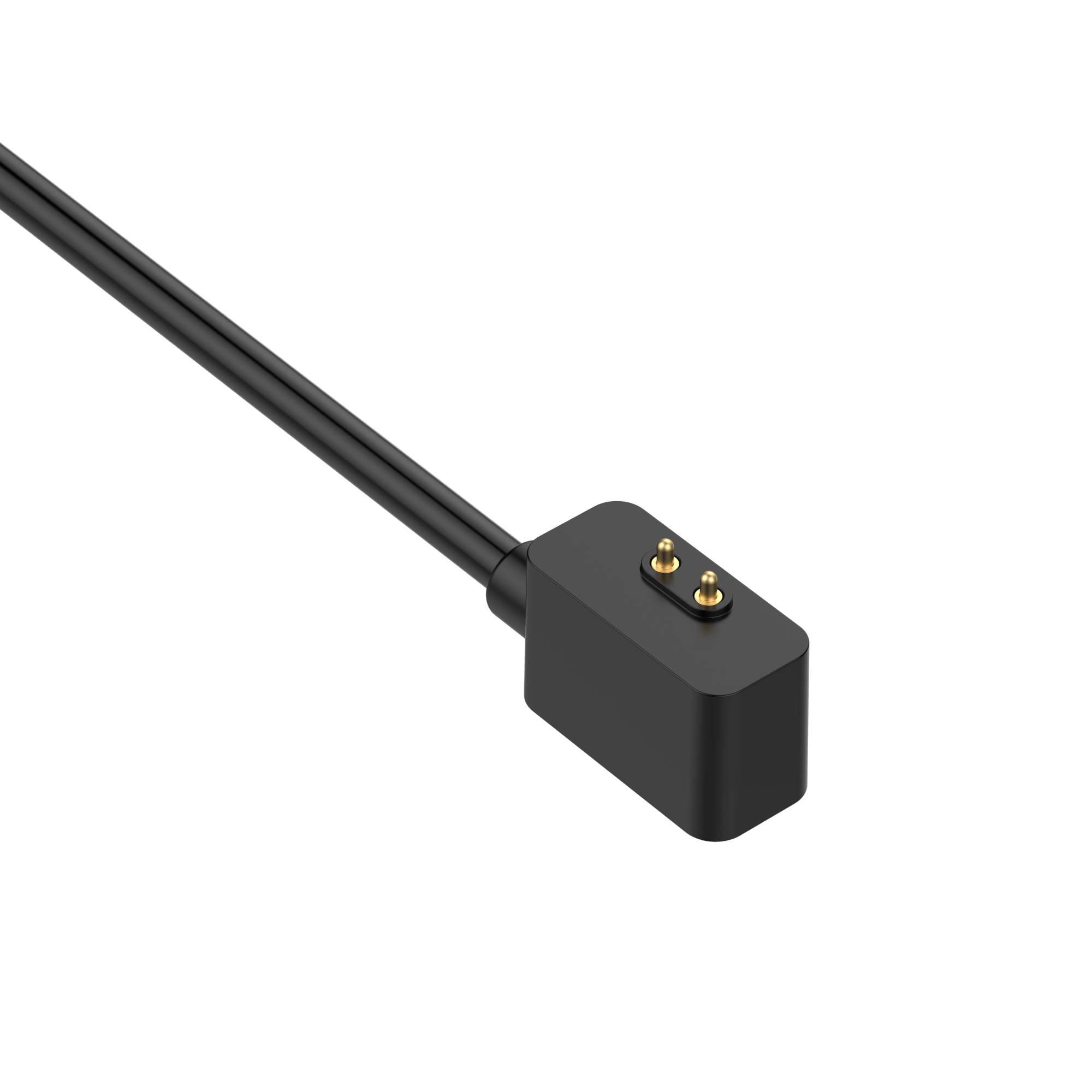 Schwarzes Ladekabel mit schwarzem Stecker. Zwei goldene Stifte am Stecker.