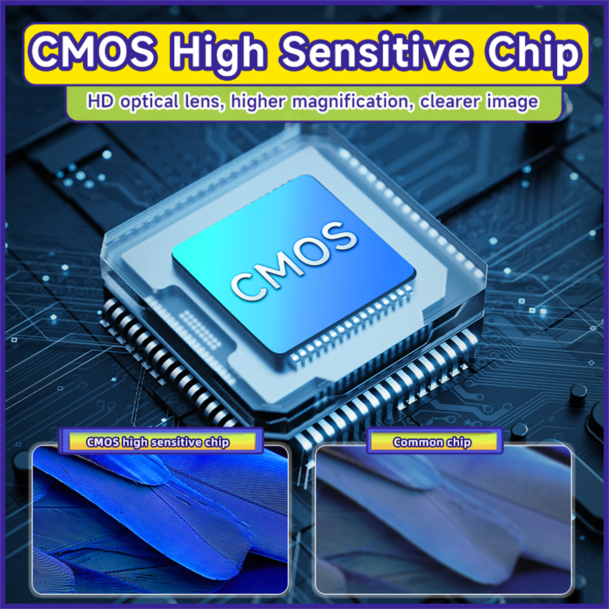 Nahaufnahme eines CMOS-Chips mit Text und Bildern von Federn zum Vergleich.