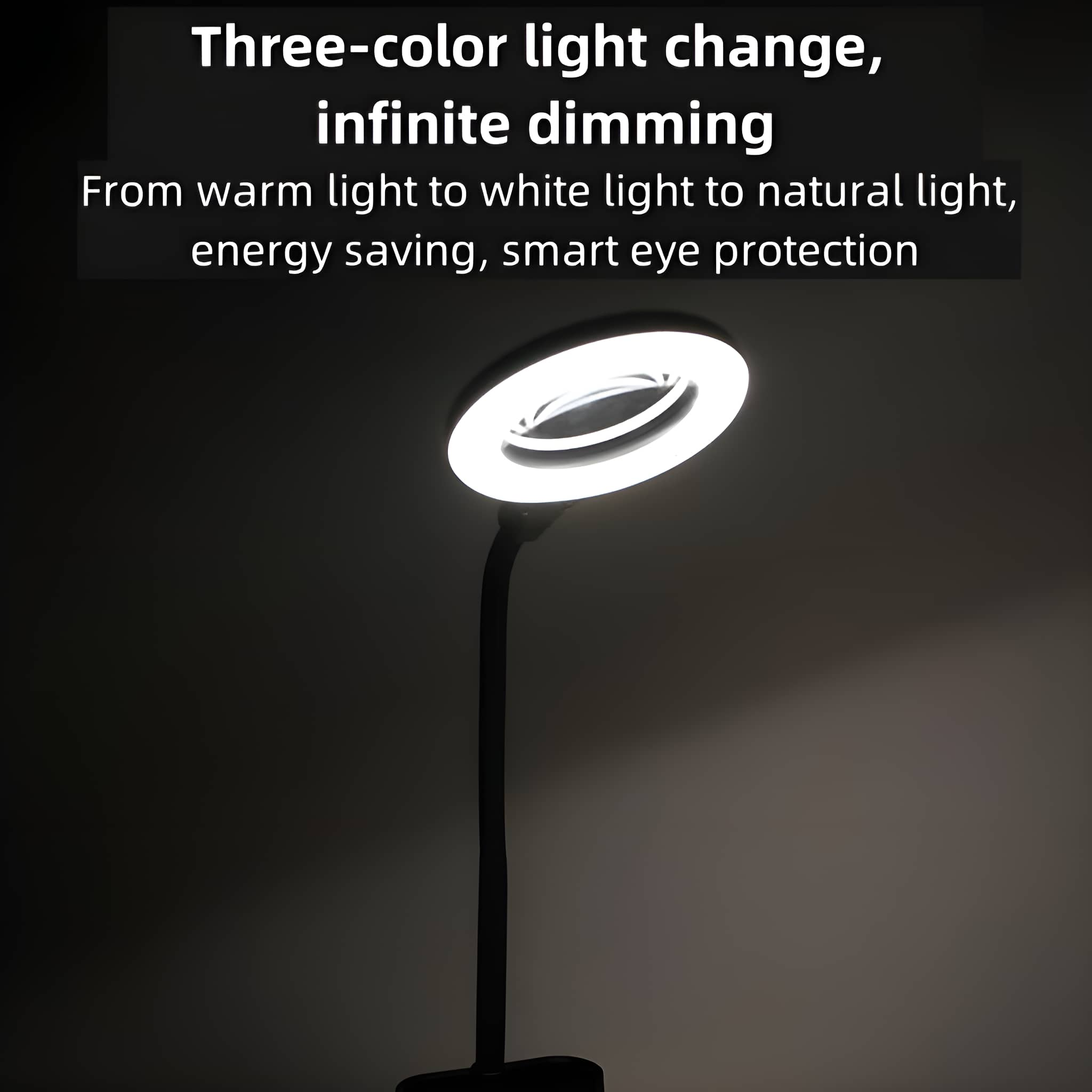 Ein Ringlicht leuchtet, beleuchtet eine dunkle Szene. Text oben: Dreifarbenlichtwechsel und unendliches Dimmen.