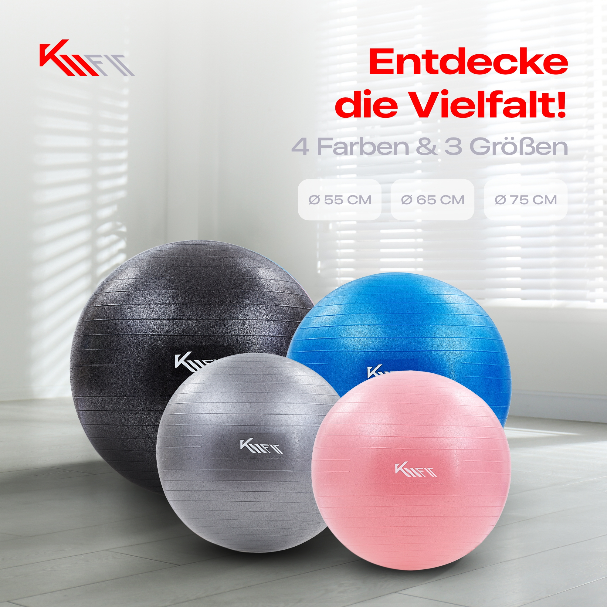 Vier bunte Fitnessbälle: schwarz, grau, blau und rosa. Sie stehen auf einer weißen Oberfläche, mit Produkttext.