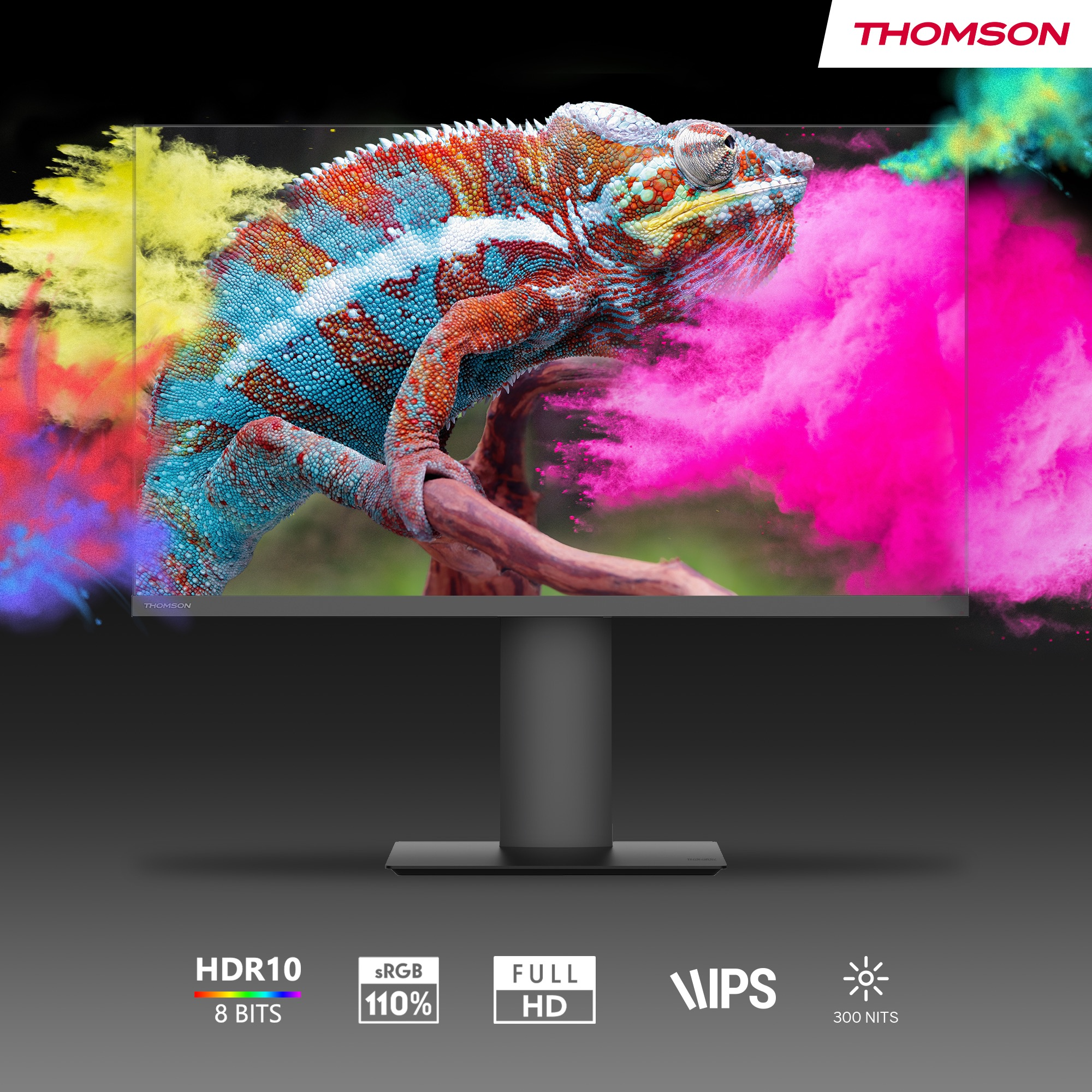 Ein Computermonitor zeigt ein farbenfrohes Chamäleon, umgeben von farbähnlichen Farben. Der Monitor steht auf einem Ständer.