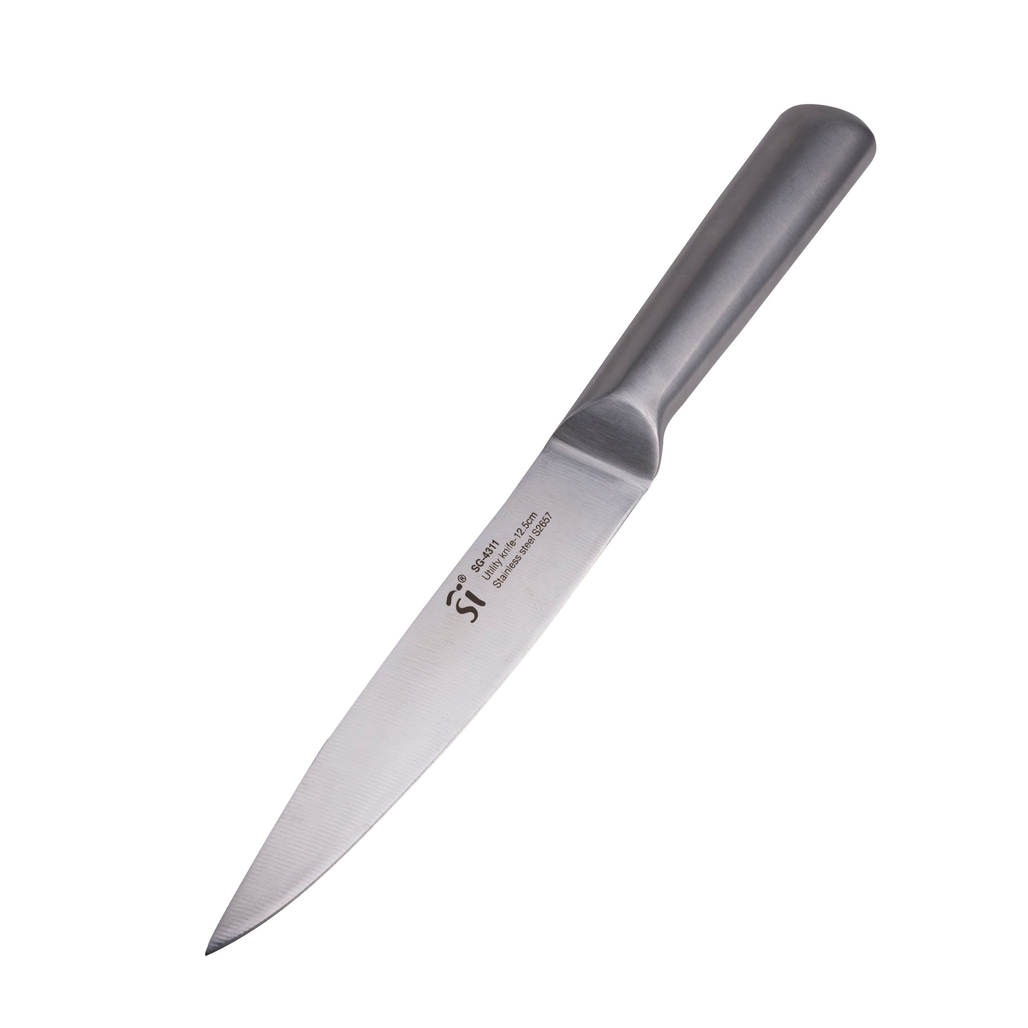 Cuchillo de acero inoxidable con hoja y mango plateados, en ángulo sobre blanco.