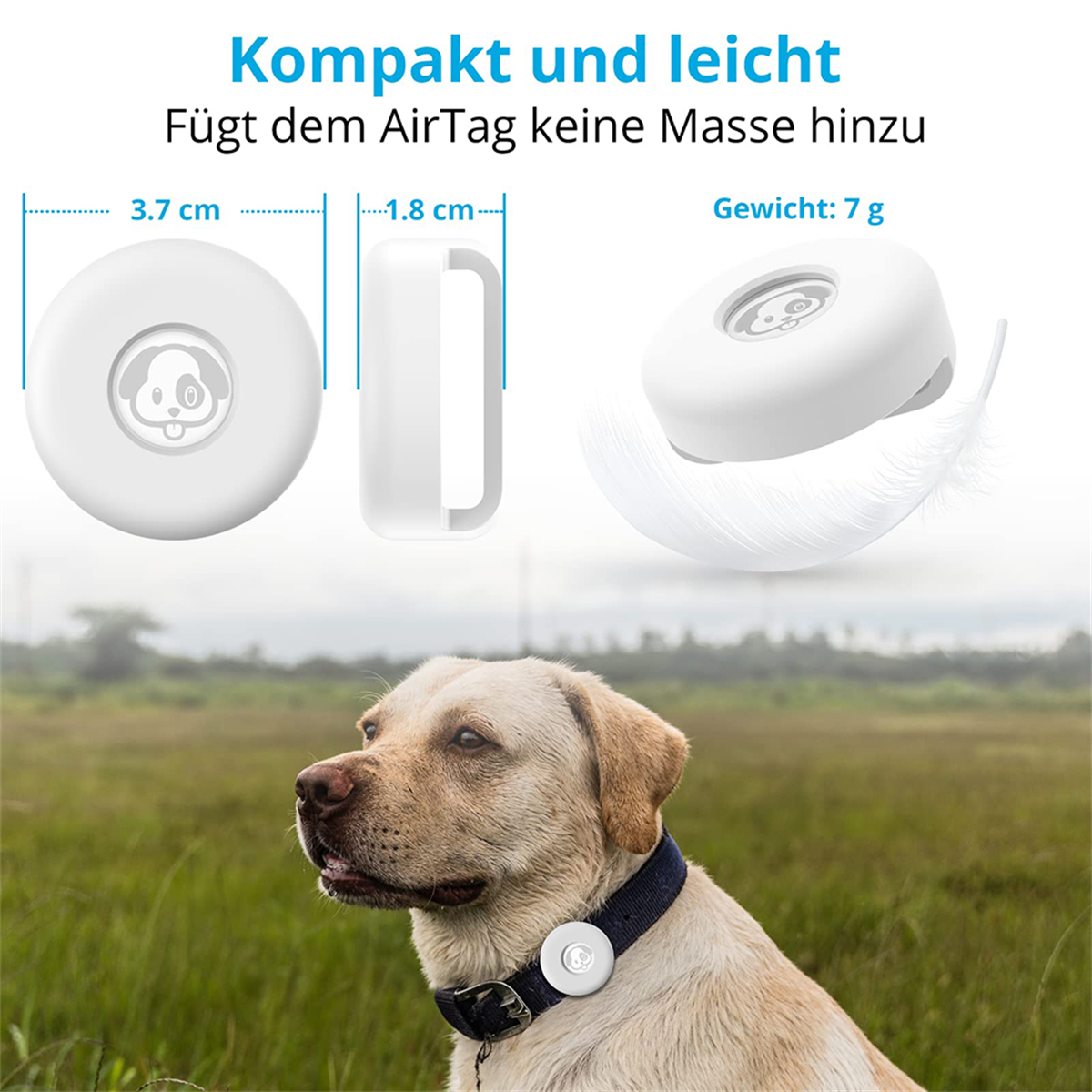 Weißes AirTag-ähnliches Gerät mit Hunde-Logo, neben einem Hund mit Halsband und Gerät.