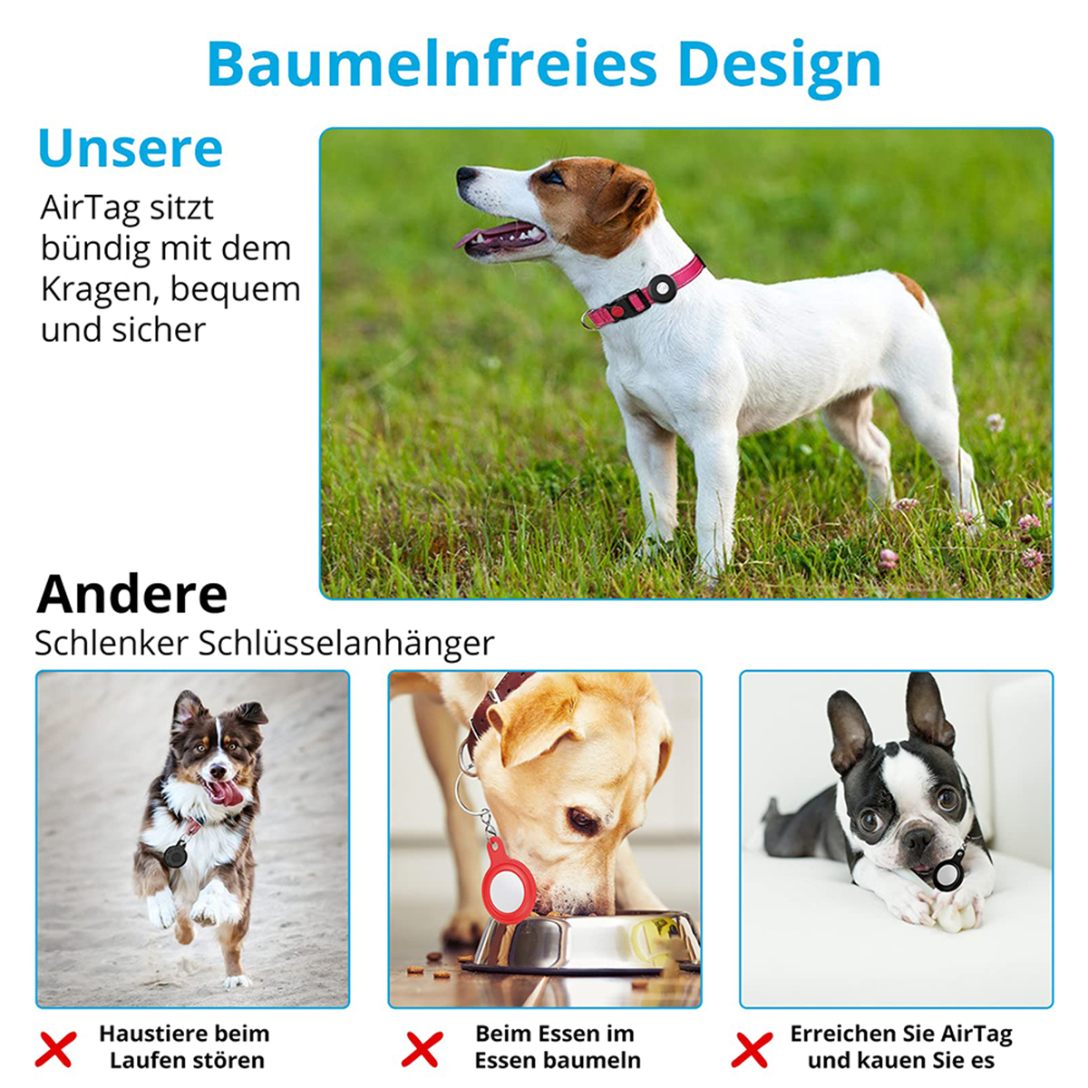 Ein Hund mit Halsband. Andere Hunde mit Zubehör. Gras Hintergrund.