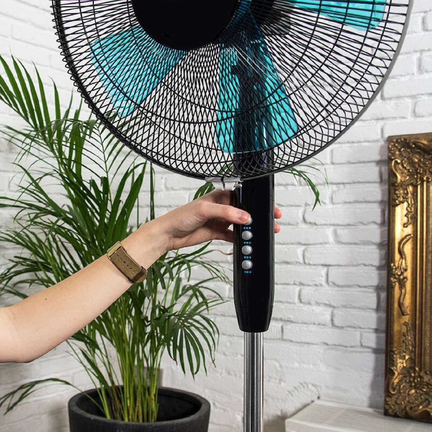 Una mano ajustando un ventilador negro y azul. Una planta verde al fondo.