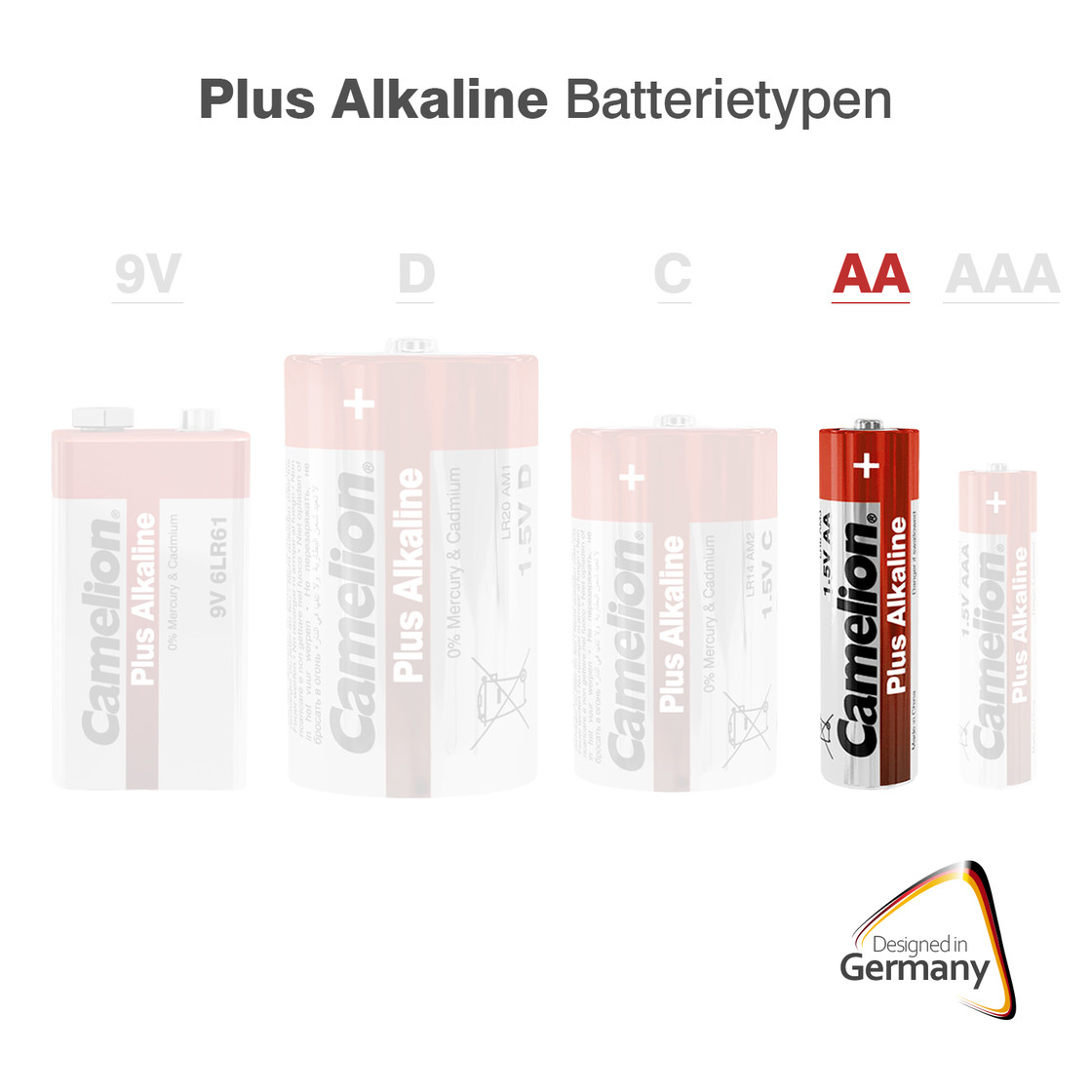 Immagine che mostra diversi tipi di batterie: 9V, D, C, AA e AAA. La batteria AA è evidenziata.
