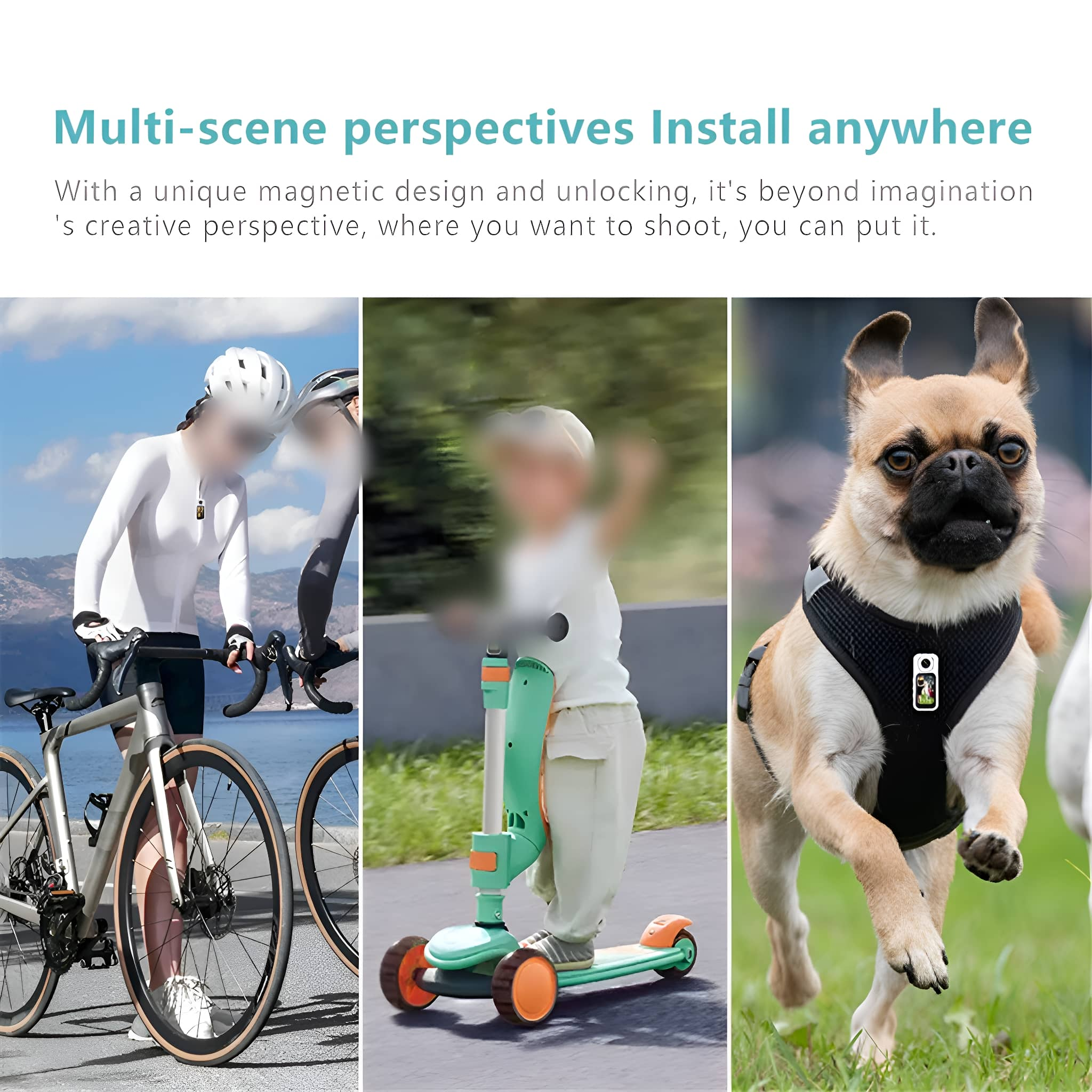 Drei Bilder: ein Radfahrer, ein Kind auf einem Roller und ein Hund mit Geschirr.