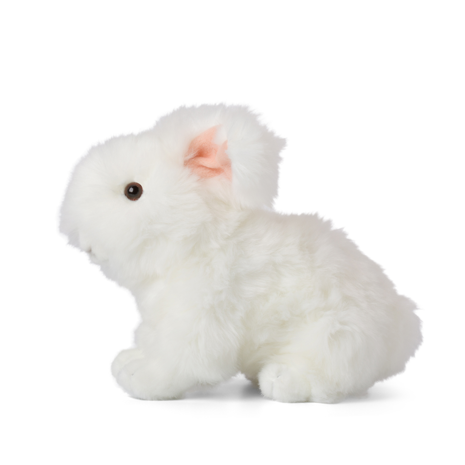 Ein weißes, flauschiges Kaninchen im Profil.