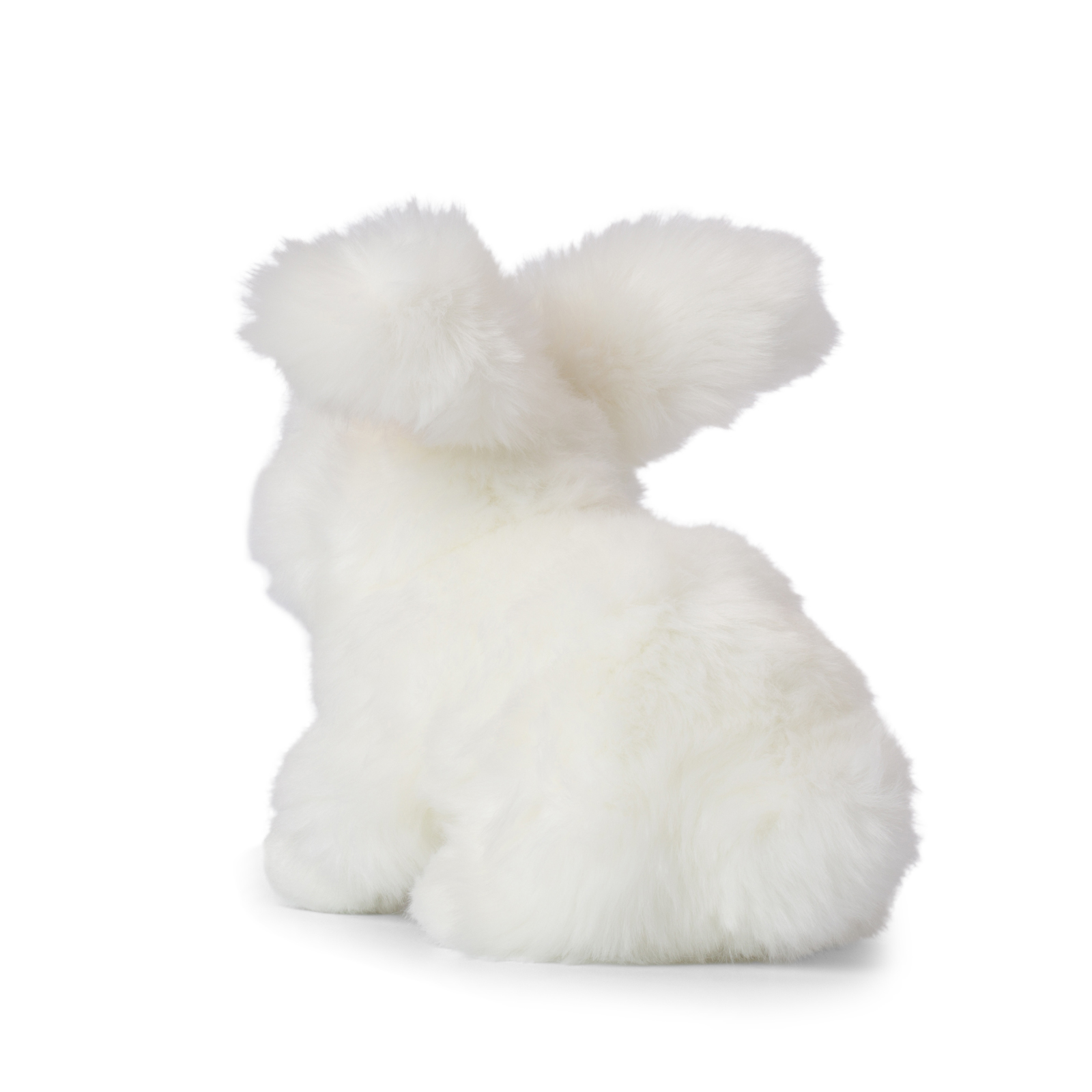 Ein weißes, flauschiges Kaninchen, von hinten betrachtet, sitzt auf weißem Hintergrund.