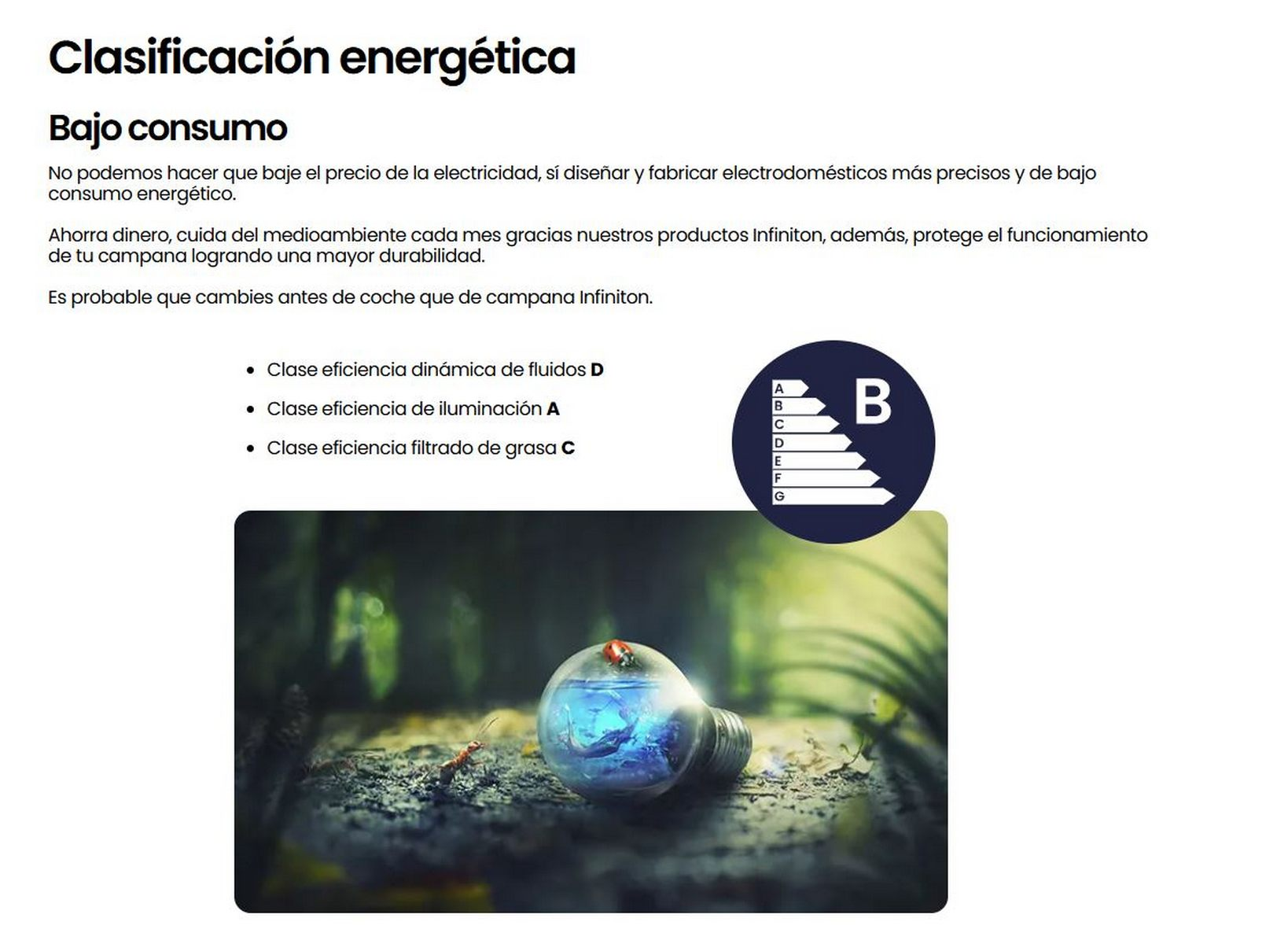 Immagine che mostra la classe di efficienza energetica B, una lampadina con un piccolo mondo all'interno.