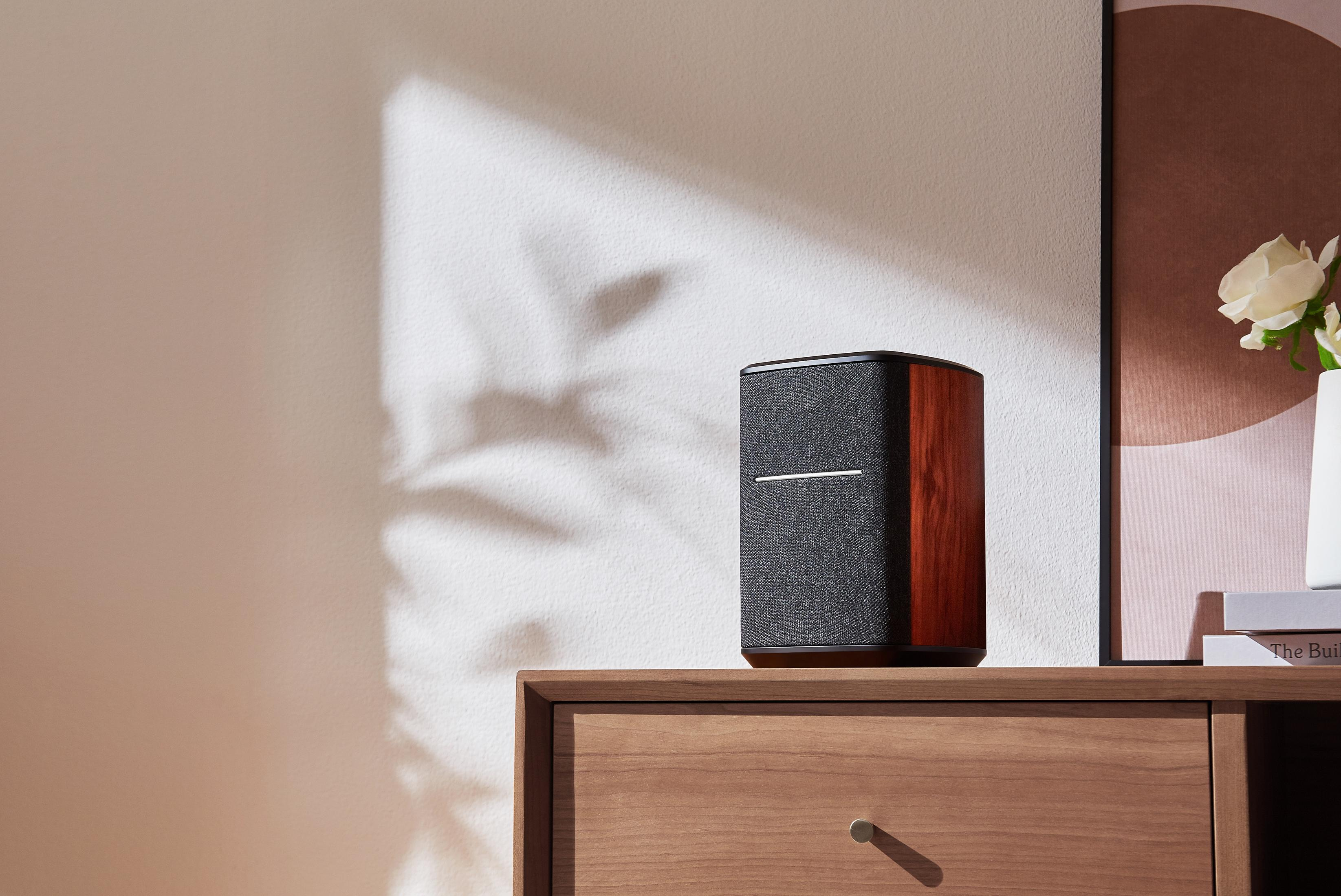 Drewniany i czarny głośnik na drewnianym stole, z białą ścianą za nim. Rośliny po prawej.