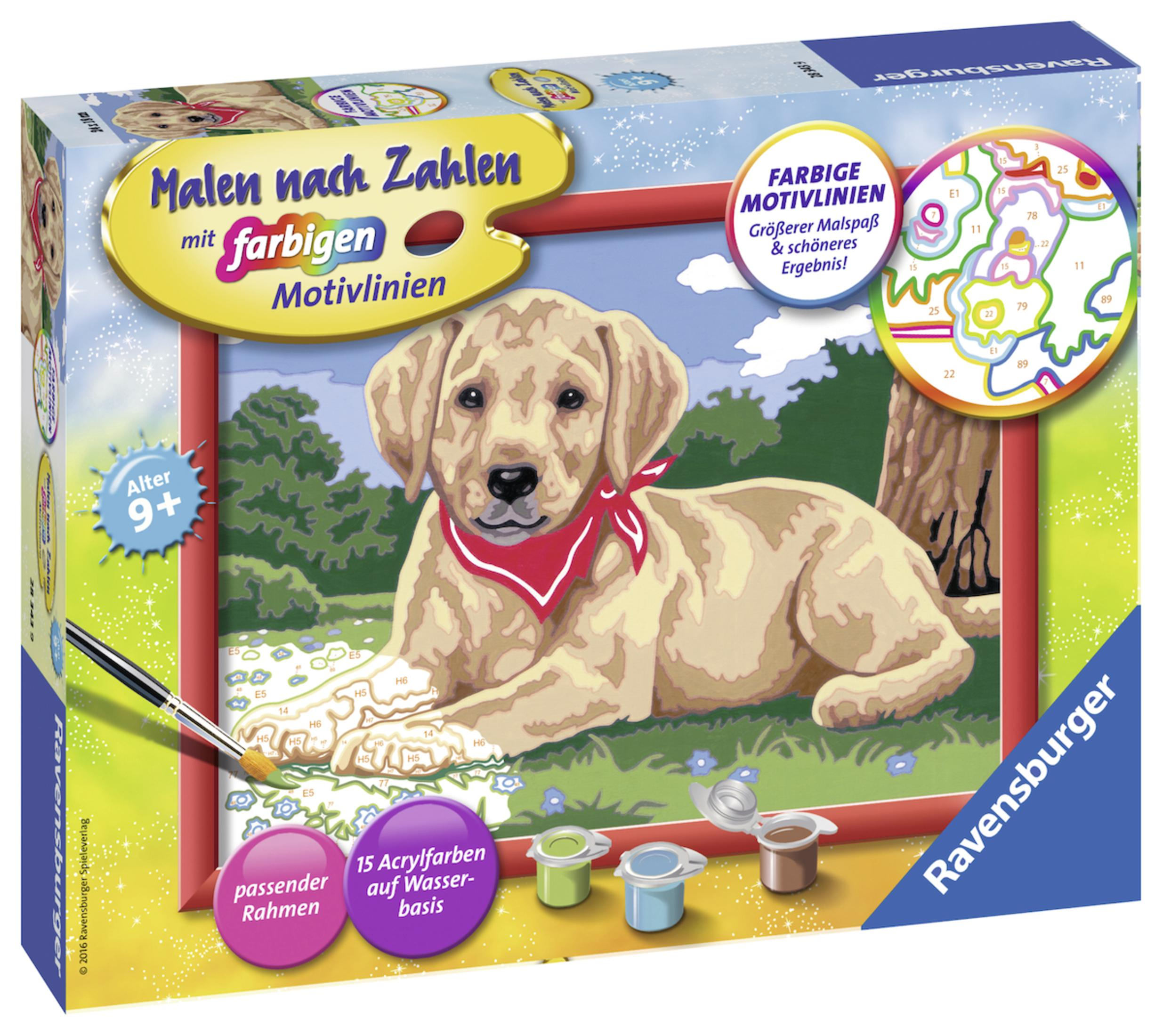Box mit einem Welpen-Malset. Enthält Farben, Pinsel und ein Bild eines Welpen.