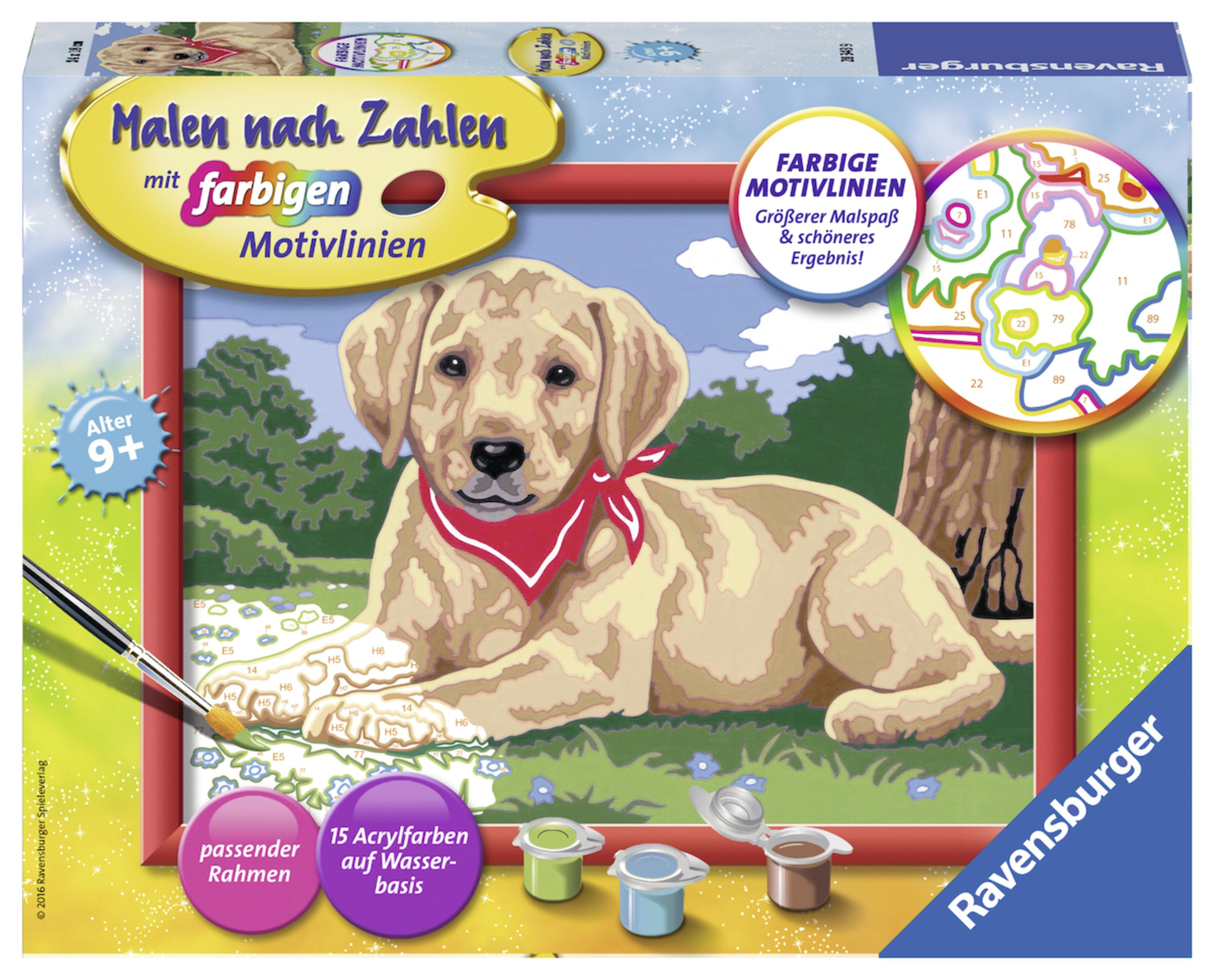 Malen nach Zahlen Set. Ein Welpenbild ist gezeigt. Farben sind auf der Box sichtbar.
