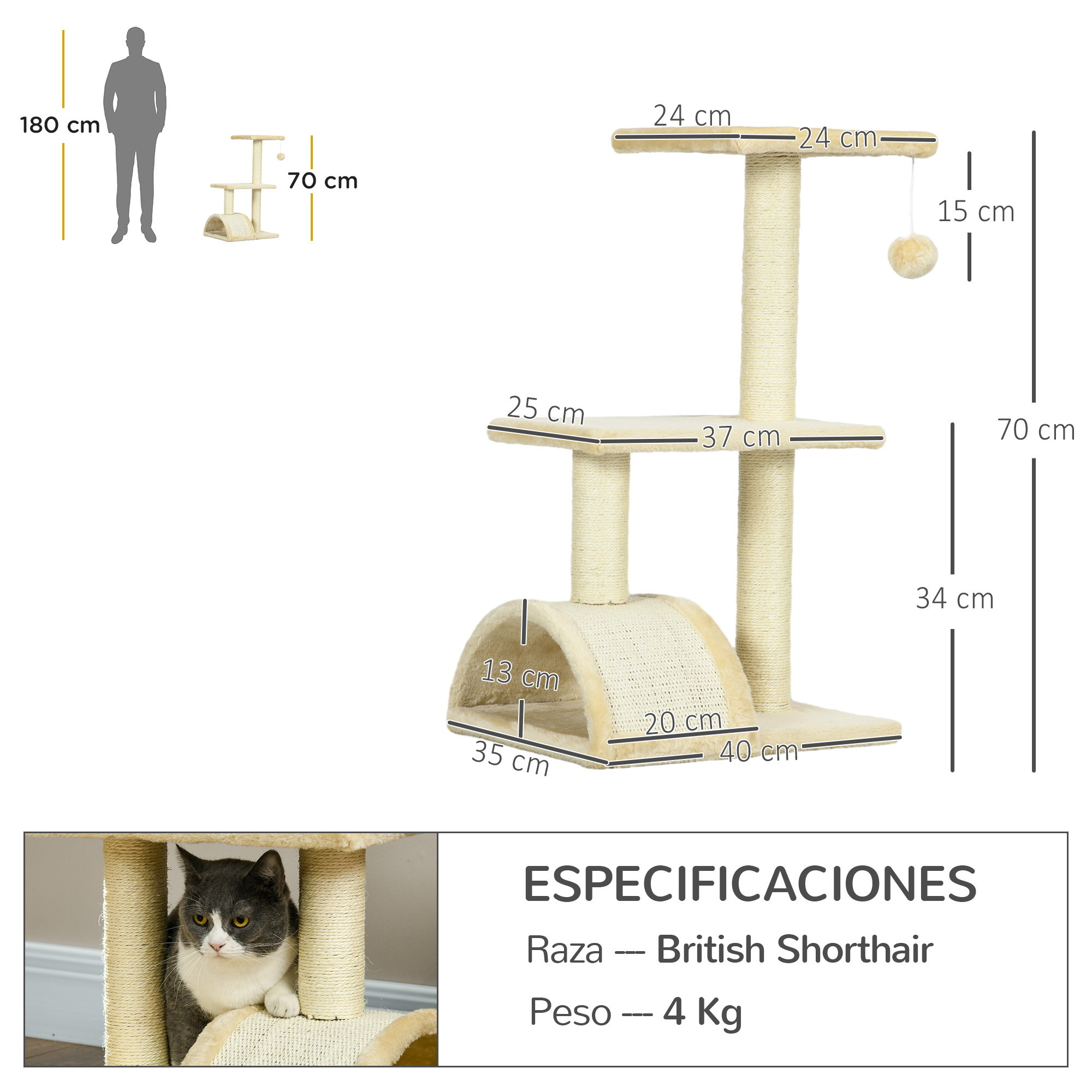 Se muestra un árbol para gatos con dimensiones. Un gato British Shorthair se sienta debajo. Se muestran dimensiones, raza y peso del gato.