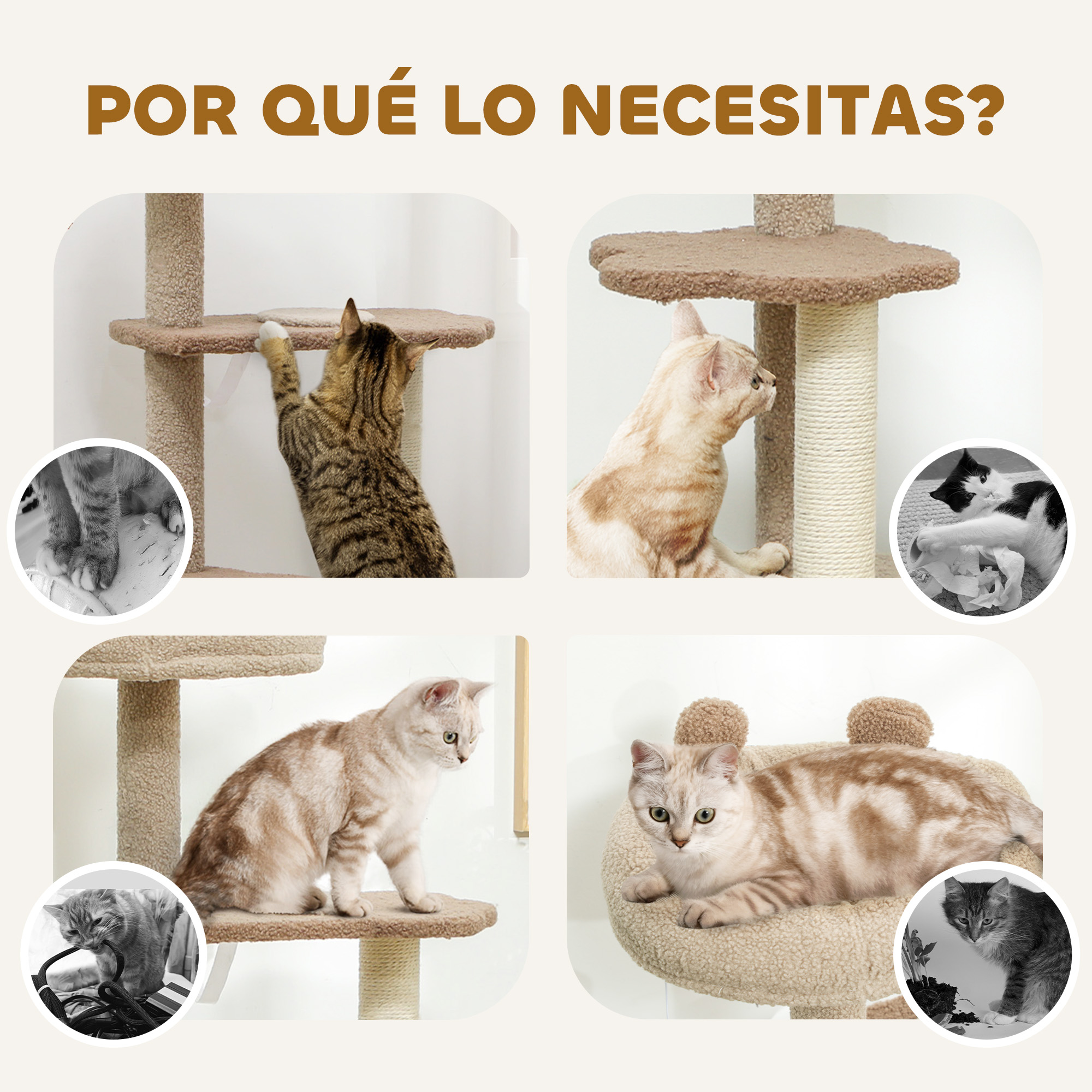 Cuatro imágenes de gatos en árboles para gatos con varias poses, mostrando los beneficios.