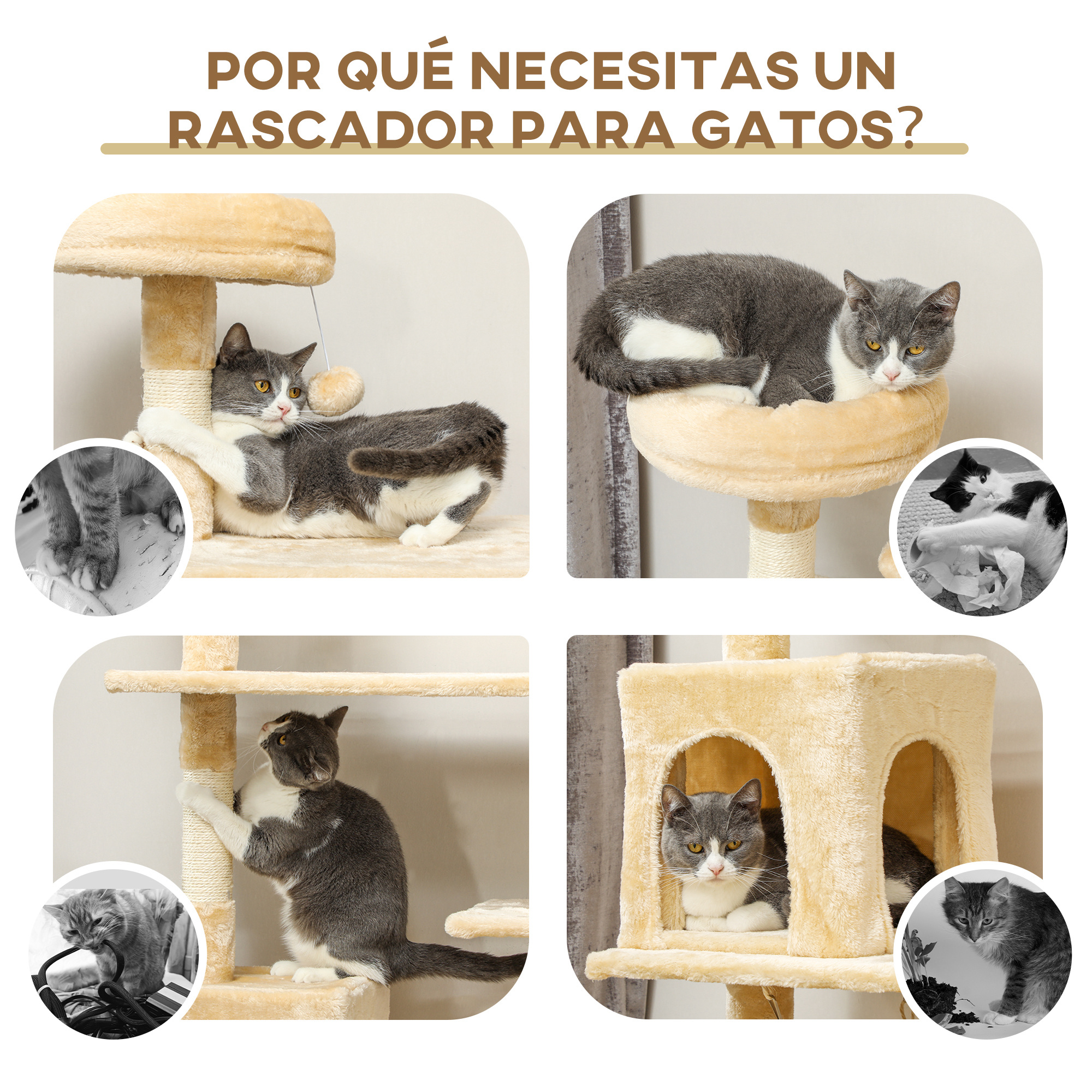 Gatos en rascadores. Los gatos juegan, arañan y descansan en los diferentes rascadores.
