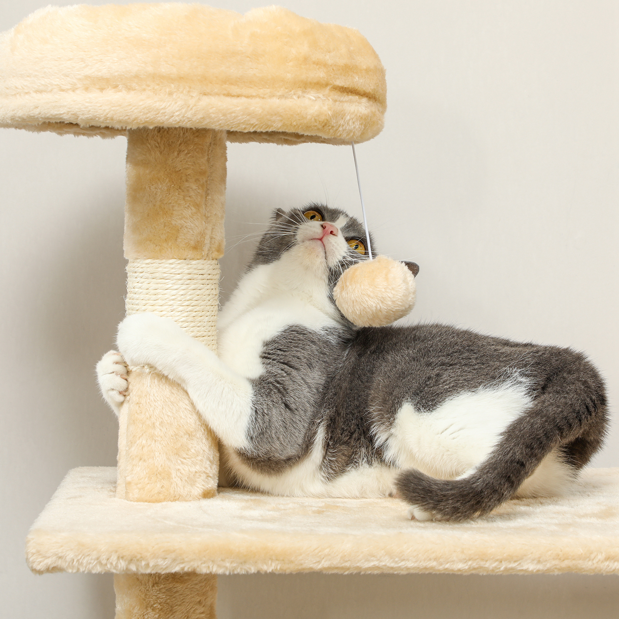 Un gato juega con un juguete colgante en un árbol para gatos beige.