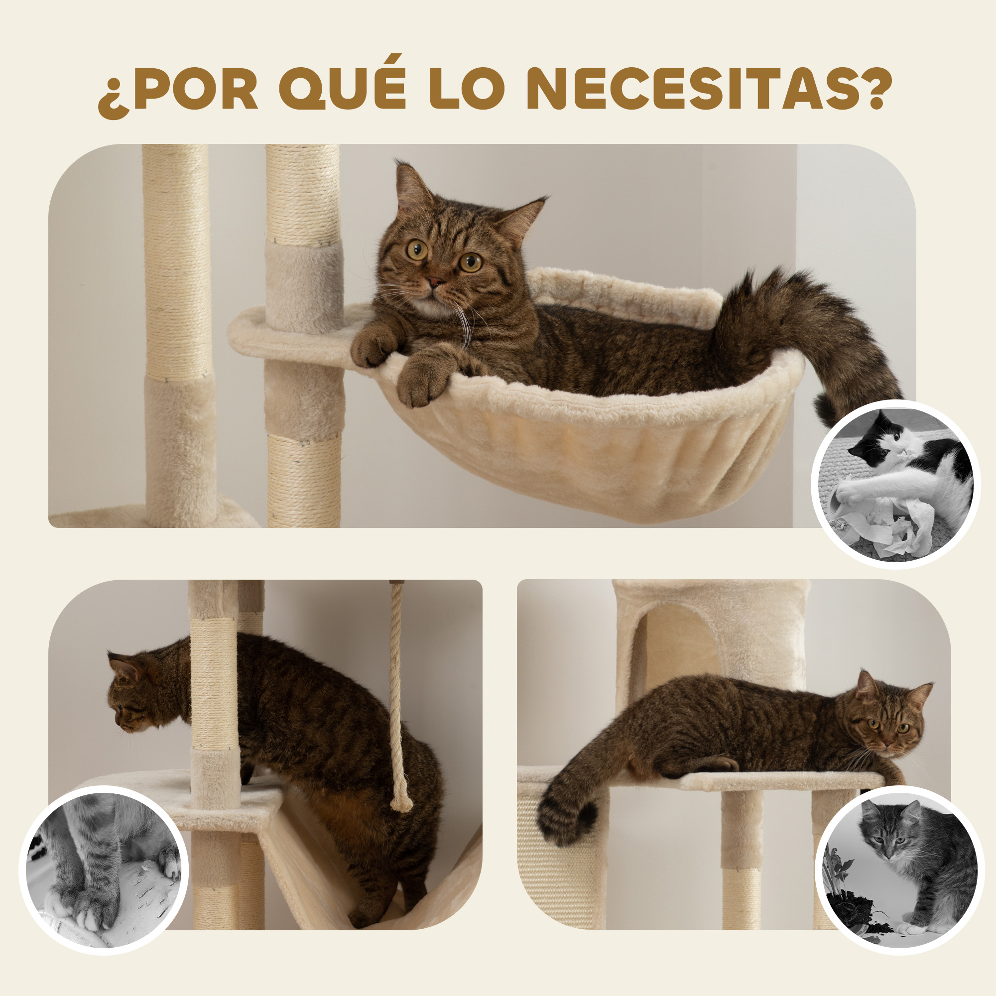 Gato en un árbol para gatos. Gato en hamaca, trepando y en plataforma superior.