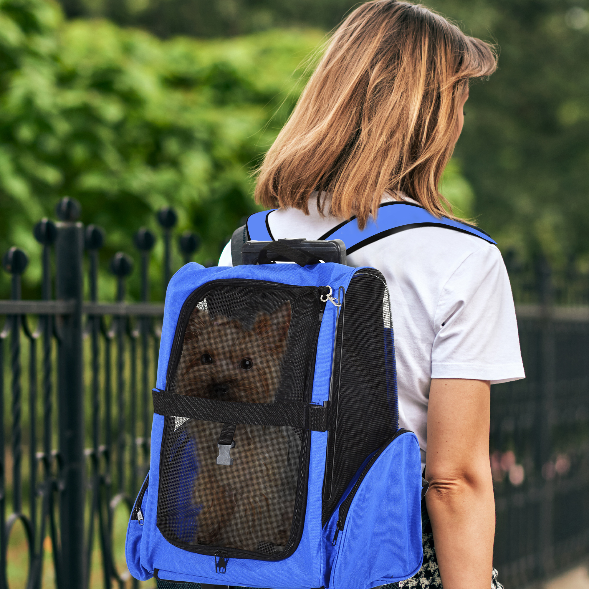 Una mujer lleva un perro pequeño en una mochila transportadora azul para mascotas.