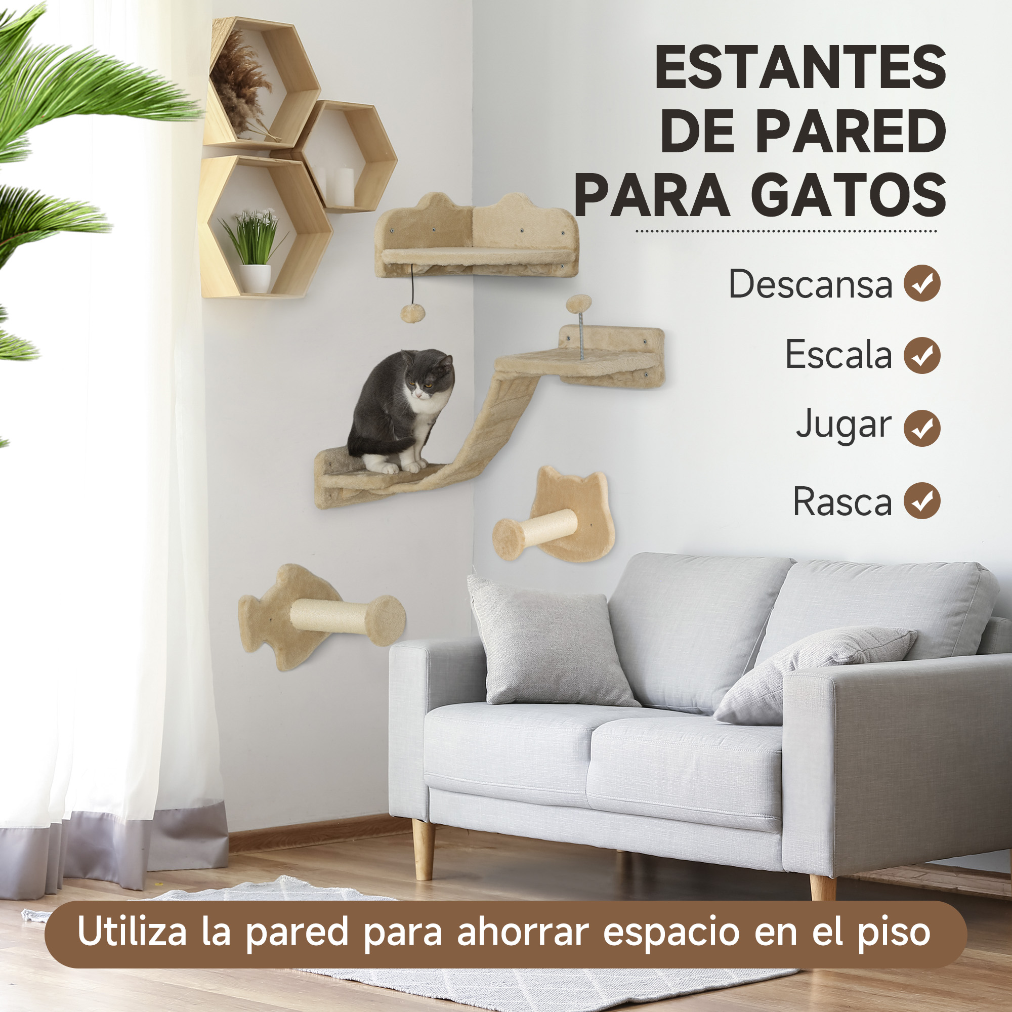 Estanterías para gatos montadas en la pared y un gato. Estanterías de varias formas, gato descansando.